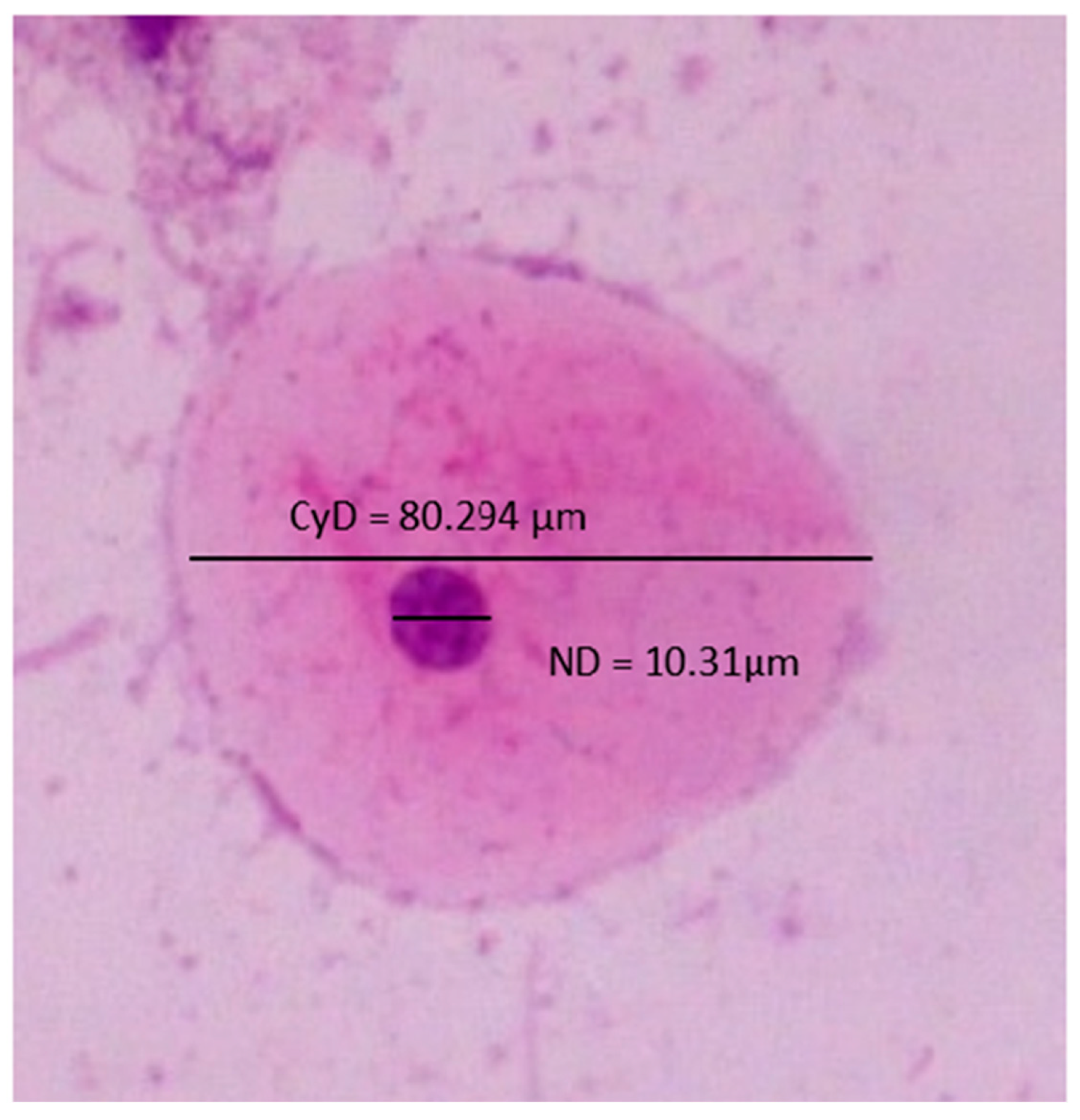 Diagnostics 13 00234 g001