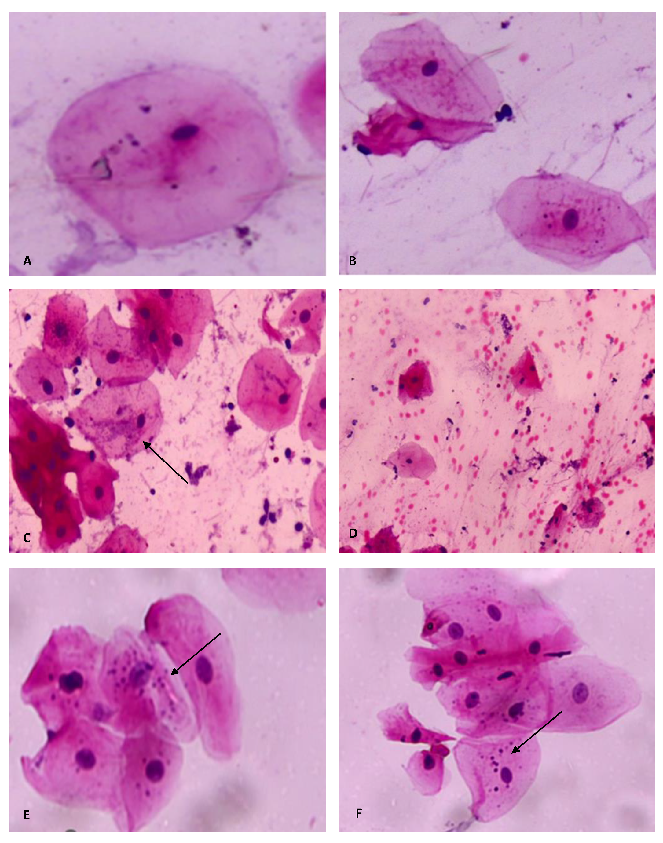 Diagnostics 13 00234 g003