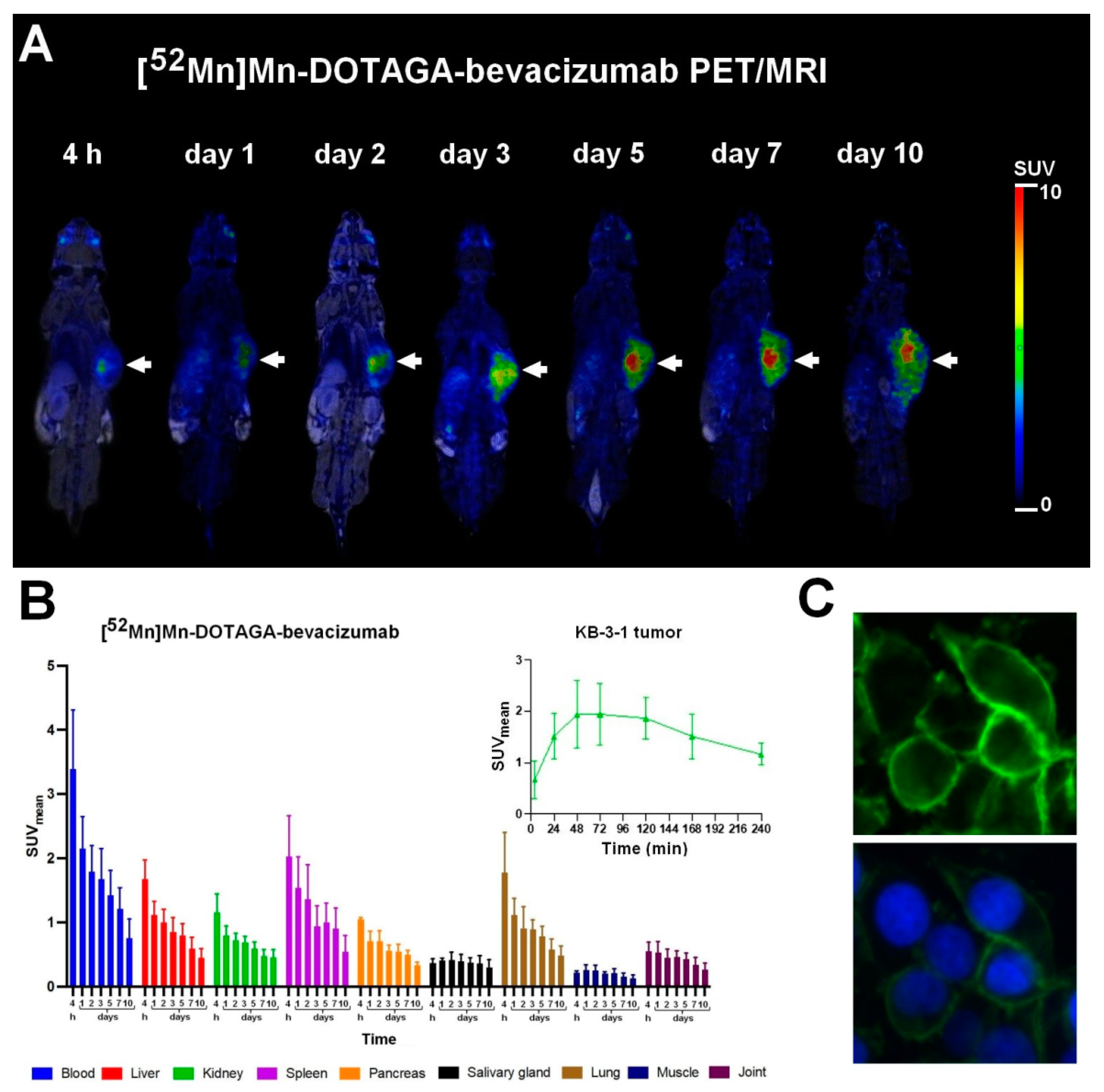 Diagnostics 13 00236 g005