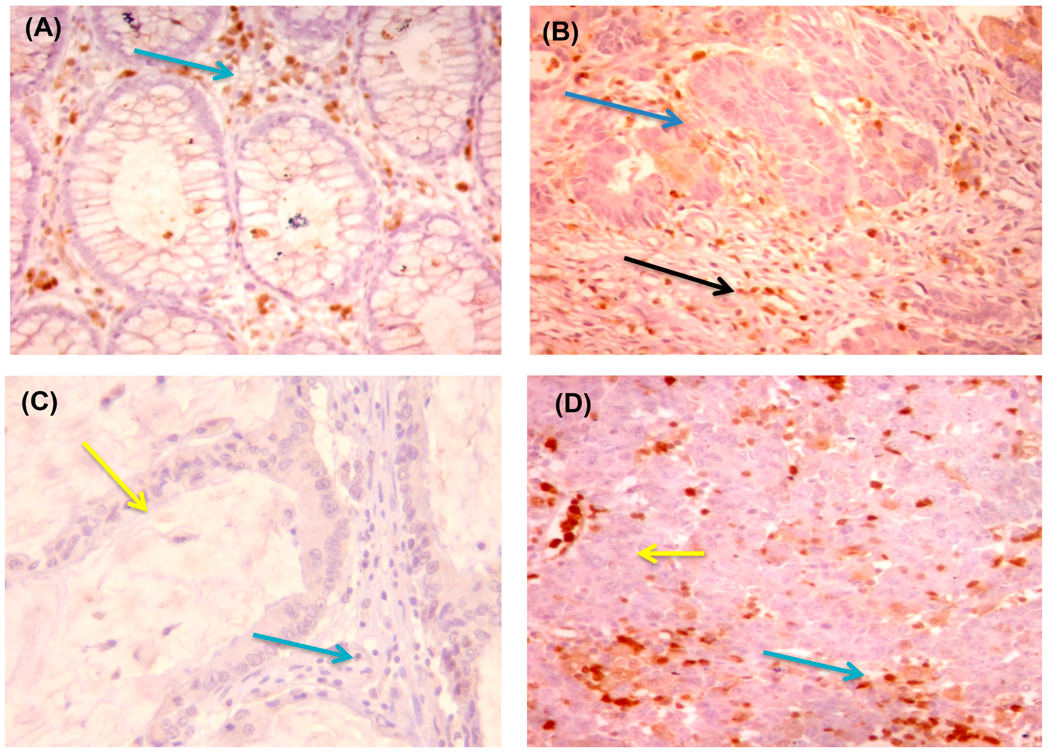 Diagnostics 13 00237 g003 Diagnostics 13 00237 g003