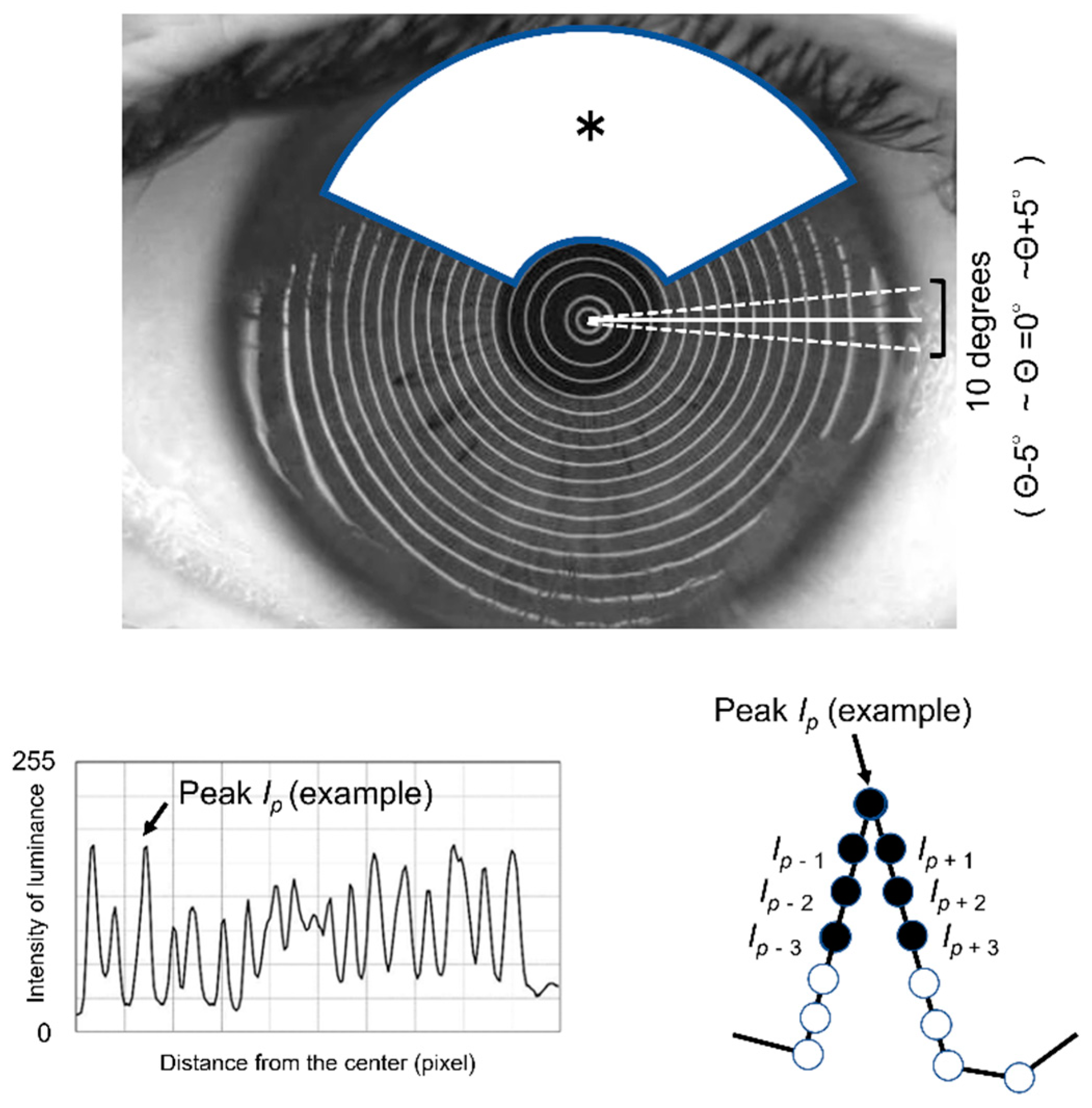 Diagnostics 13 00240 g001