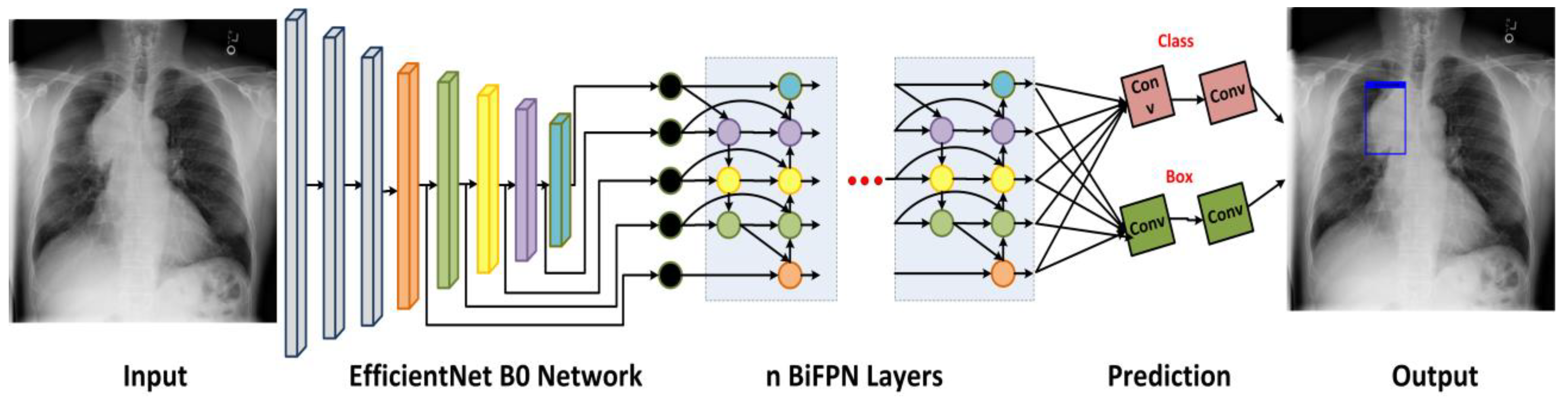 Diagnostics 13 00248 g001