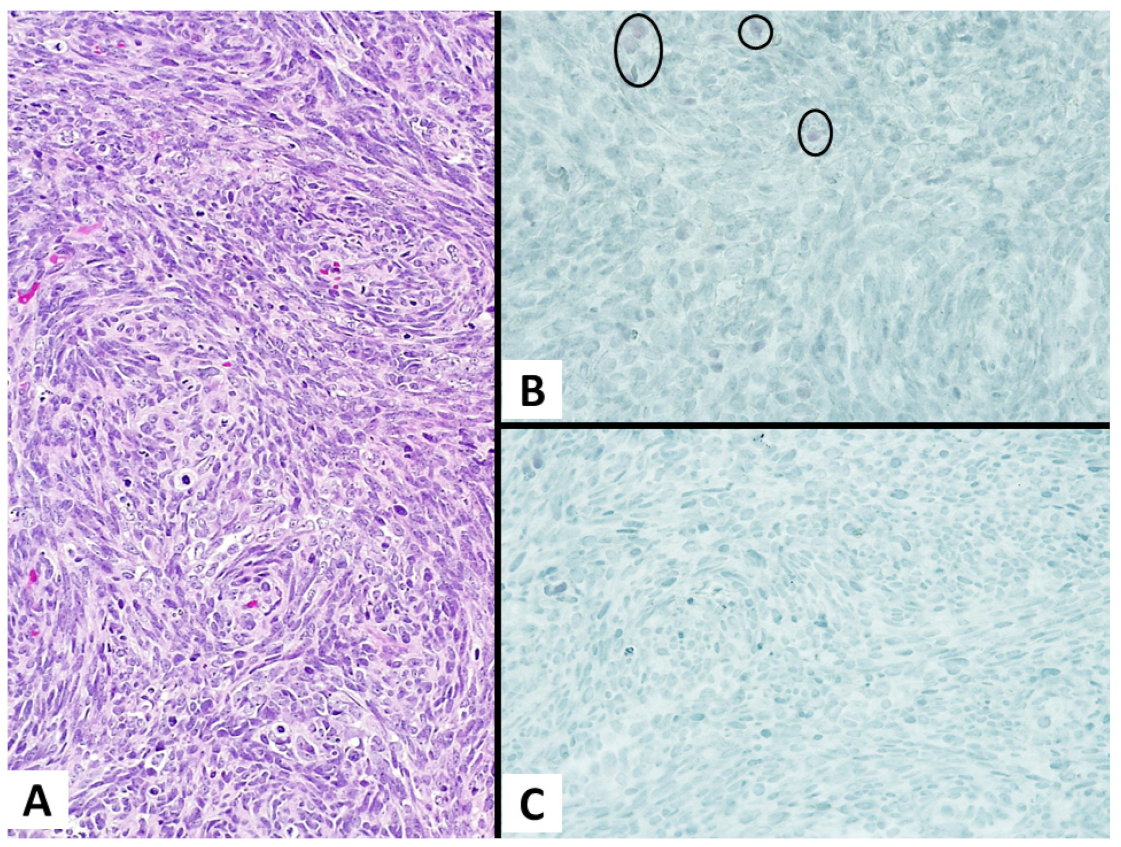 Diagnostics 13 00249 g002