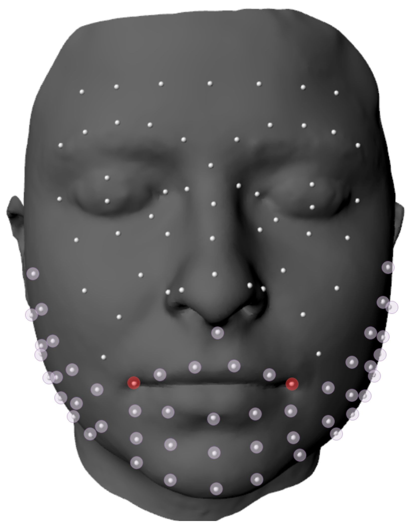 Diagnostics 13 00254 g002