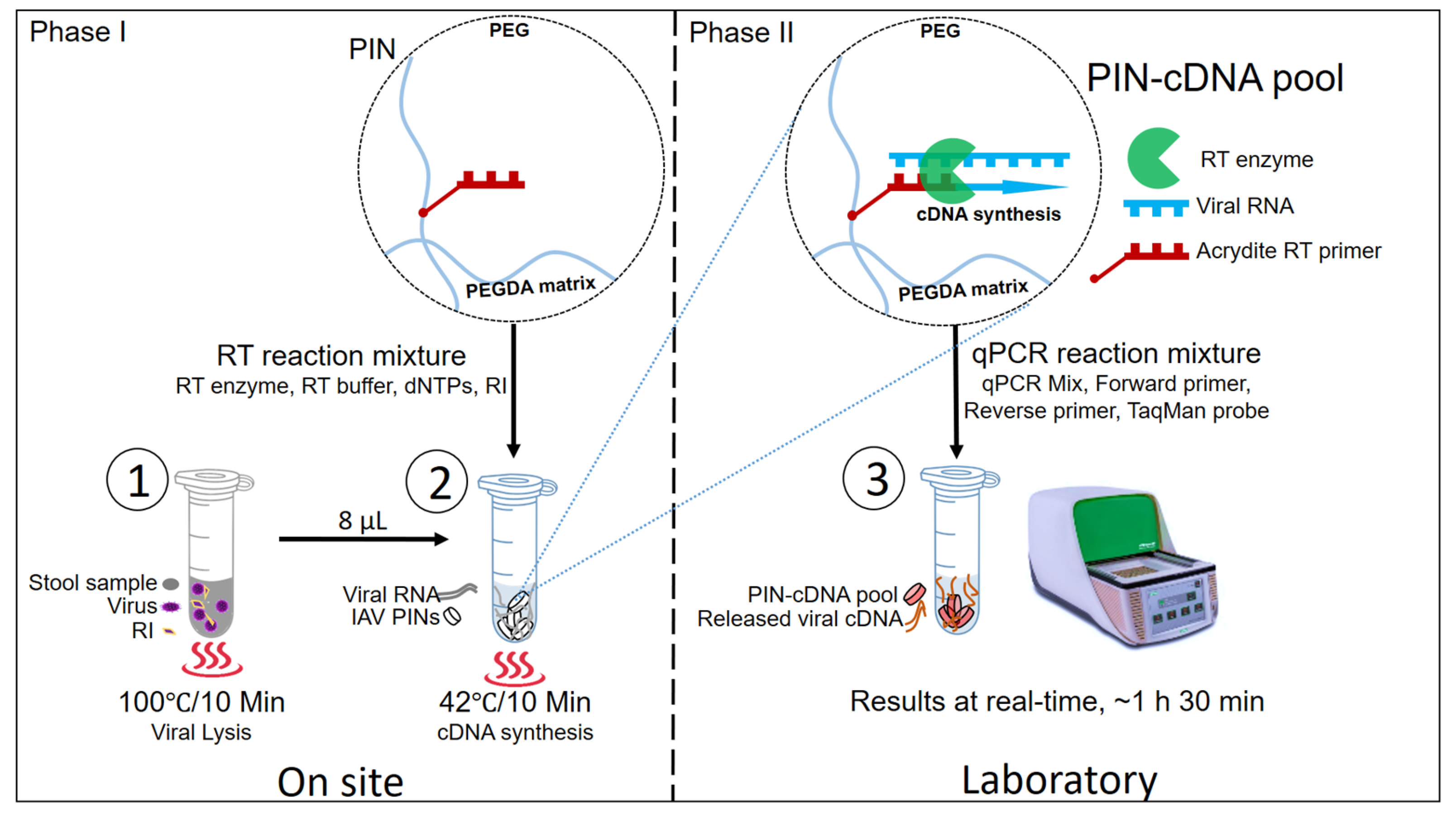 Diagnostics 13 00261 g001