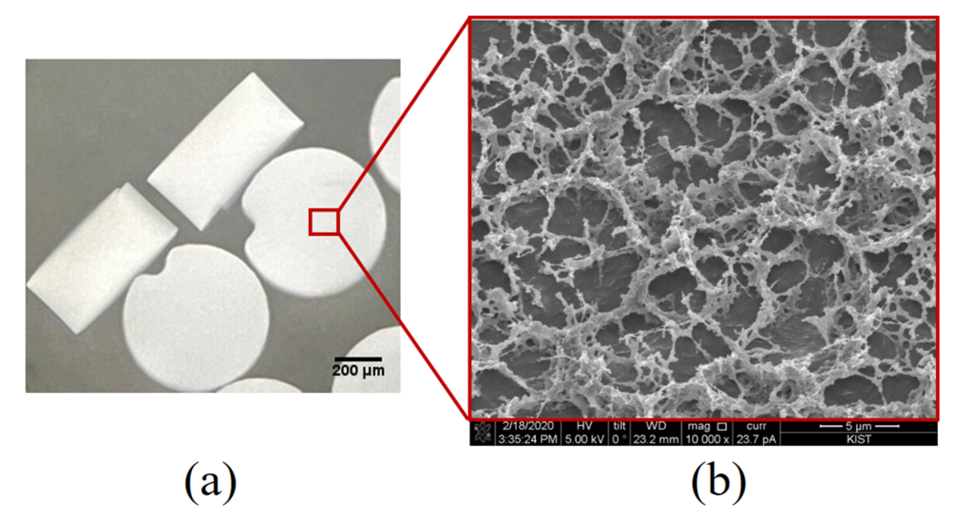 Diagnostics 13 00261 g002