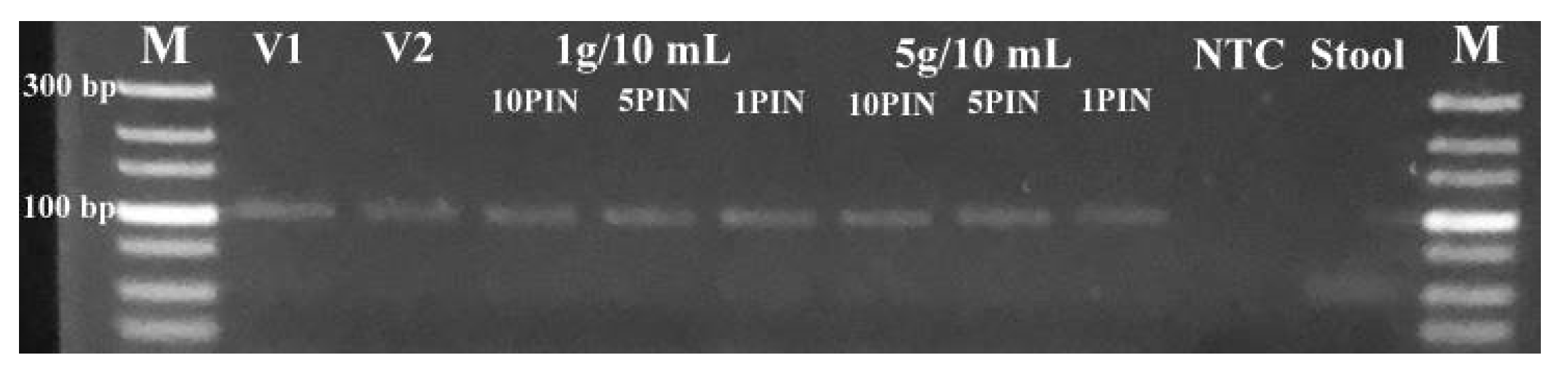 Diagnostics 13 00261 g005