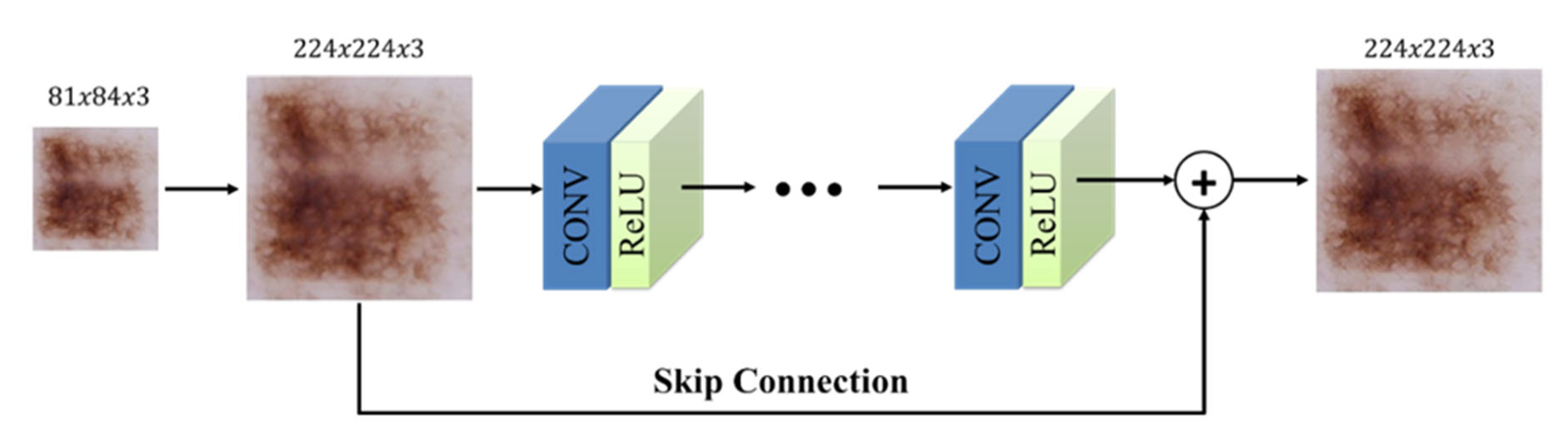 Diagnostics 13 00262 g003