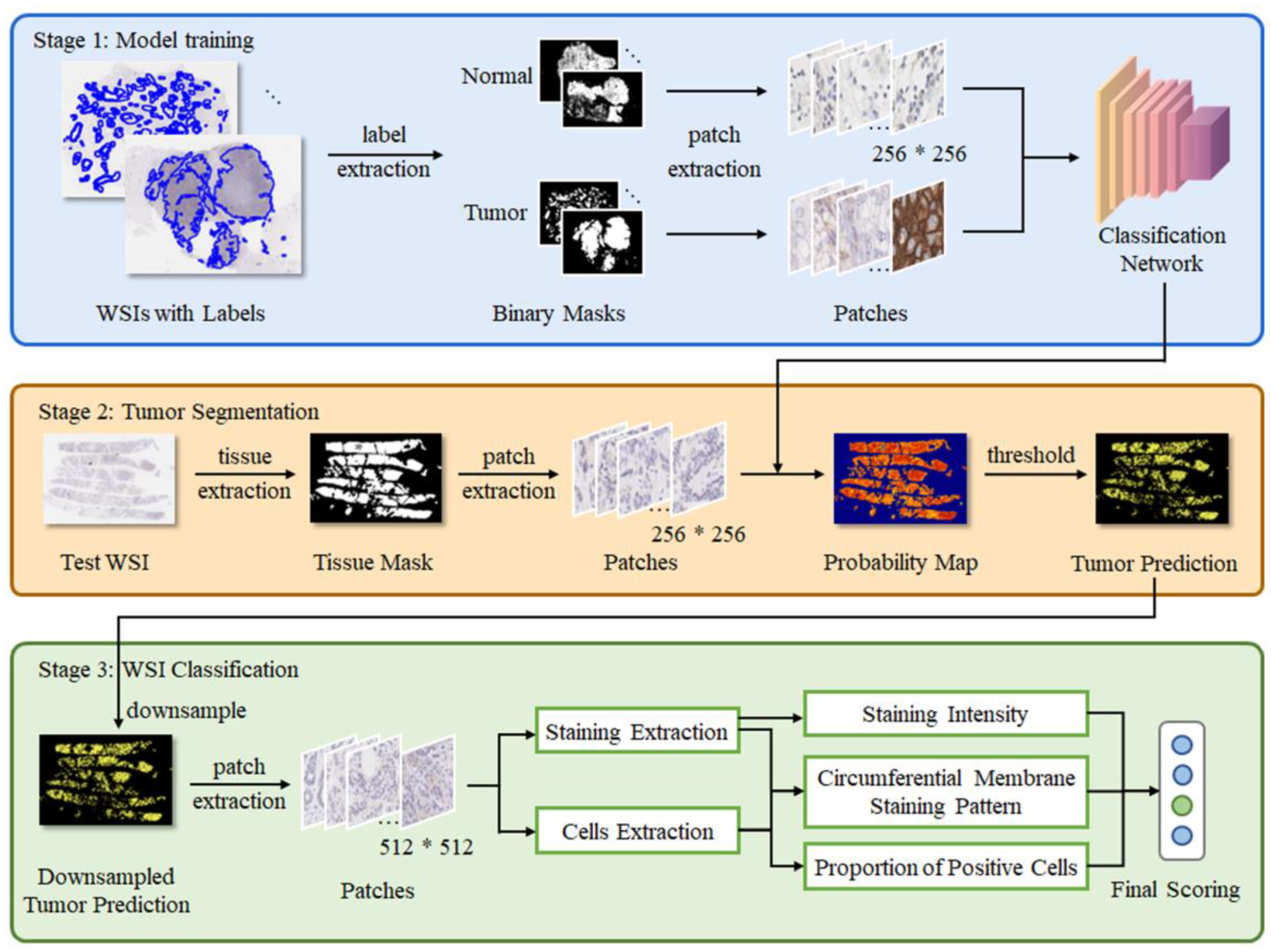 Diagnostics 13 00263 g001