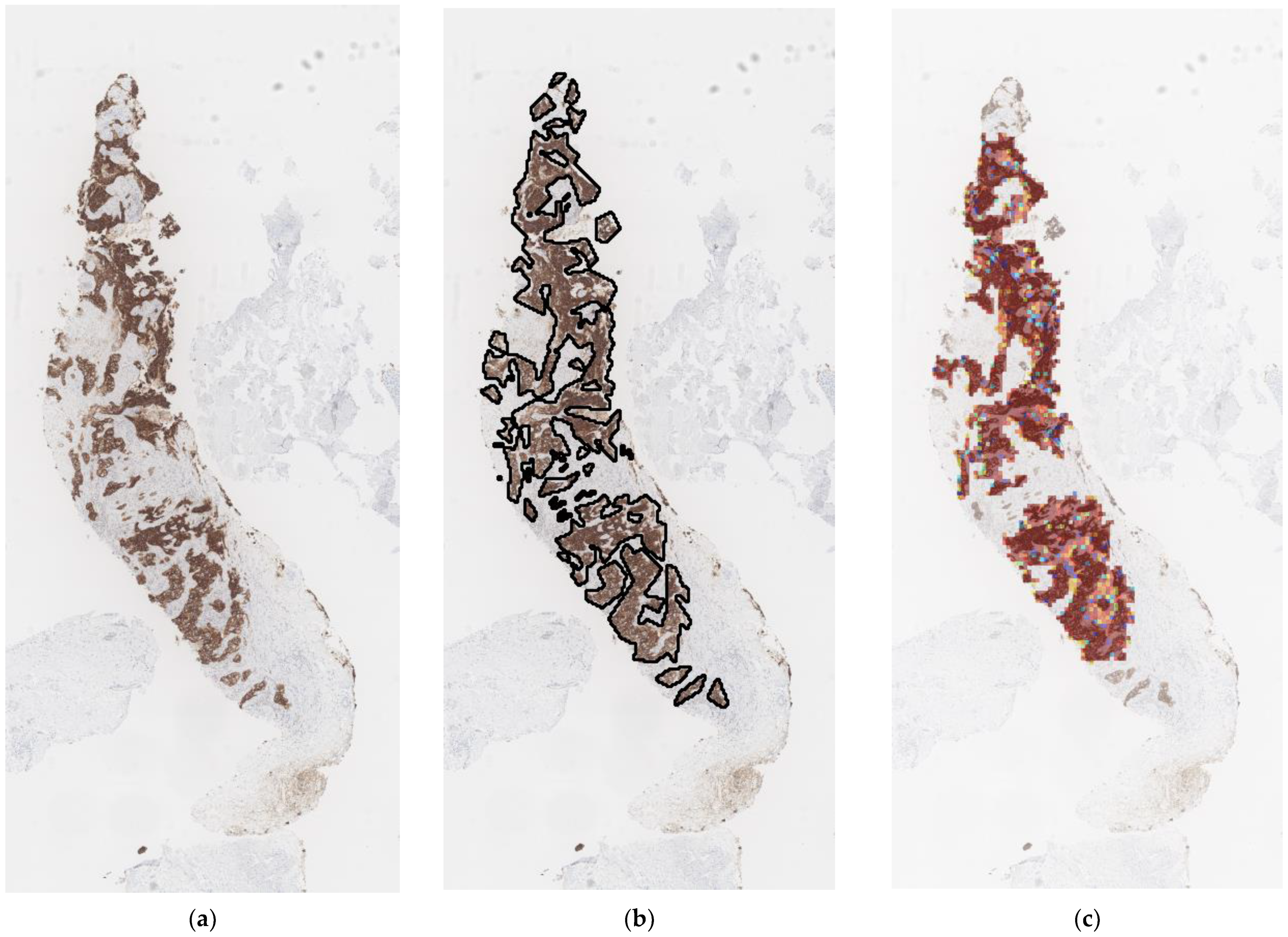 Diagnostics 13 00263 g005