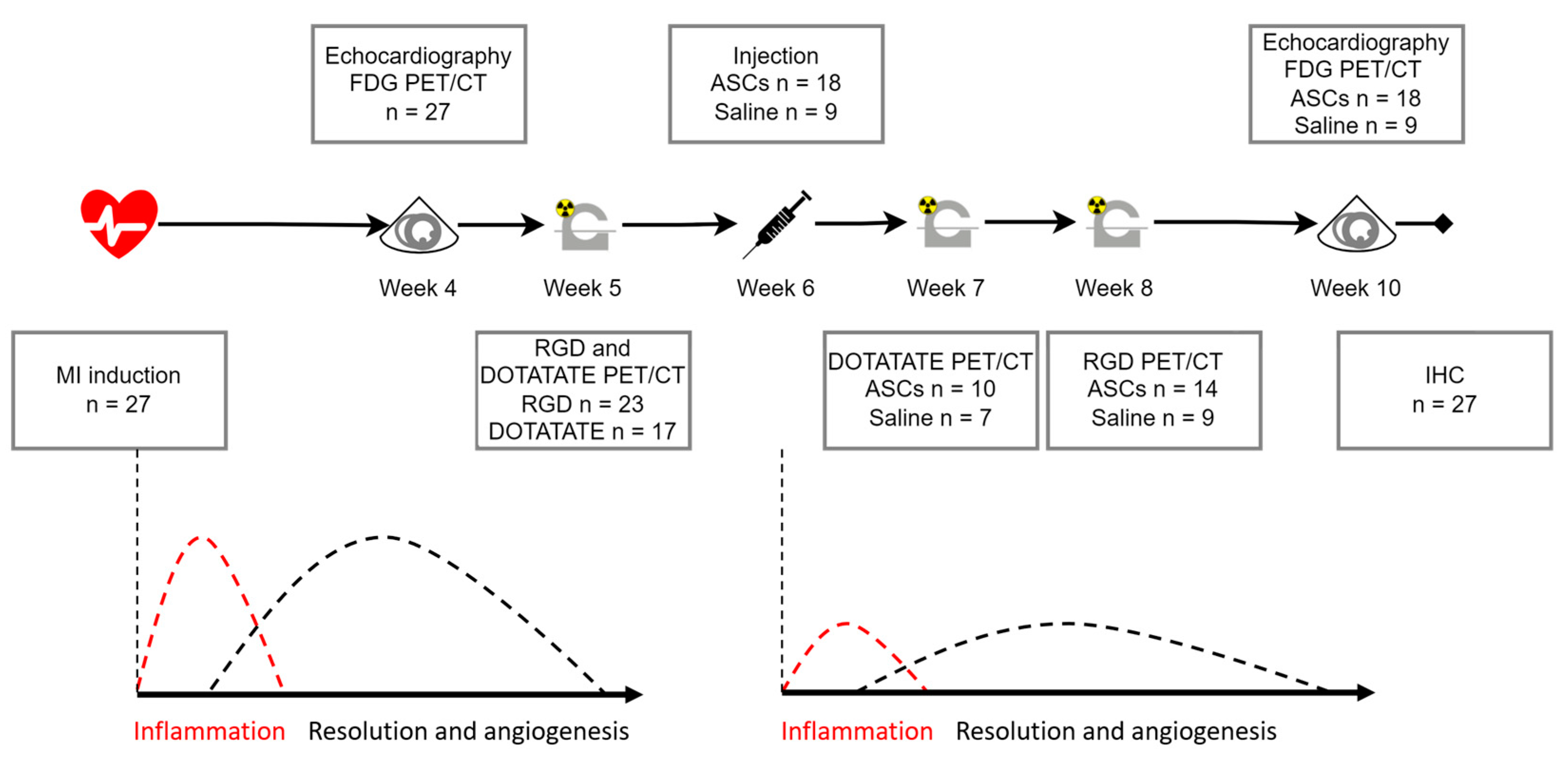 Diagnostics 13 00268 g001