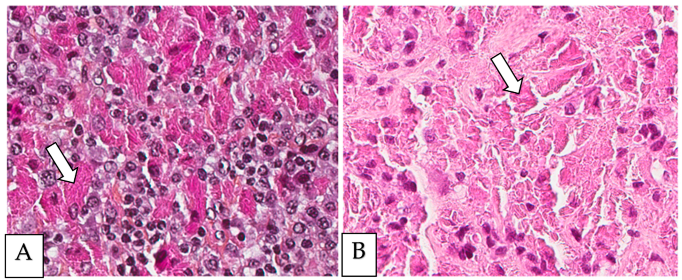 Diagnostics 13 00271 g001 Diagnostics 13 00271 g001