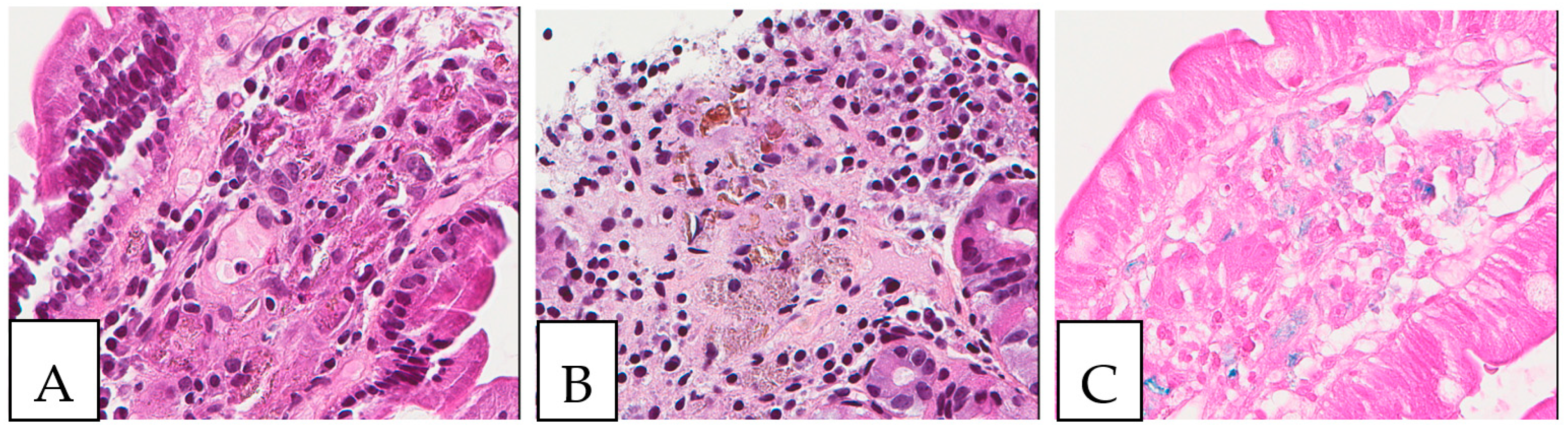 Diagnostics 13 00271 g008 Diagnostics 13 00271 g008