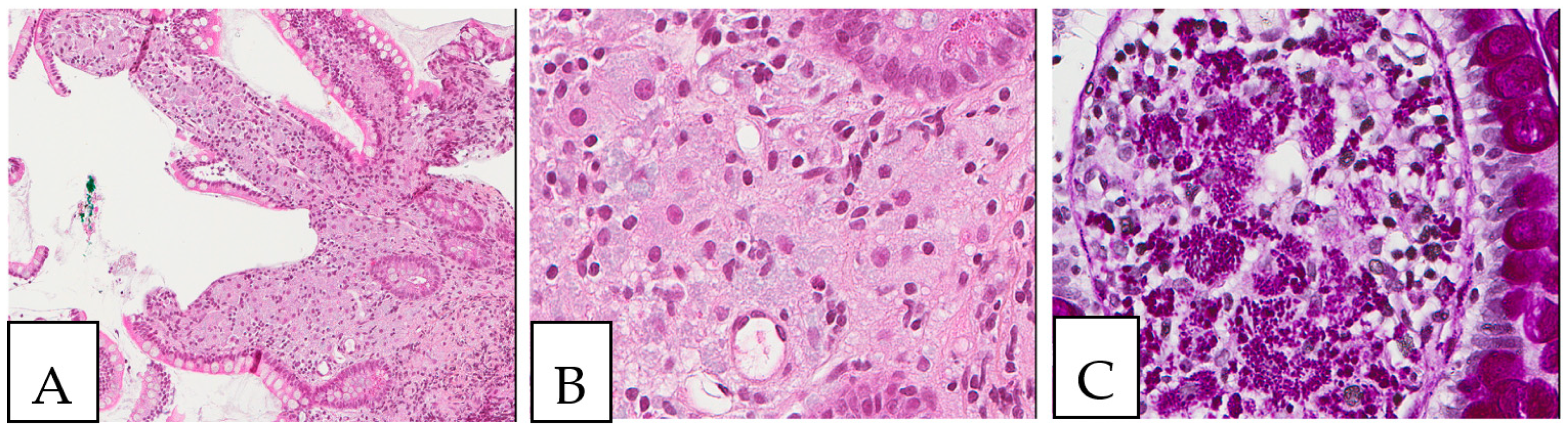 Diagnostics 13 00271 g009 Diagnostics 13 00271 g009