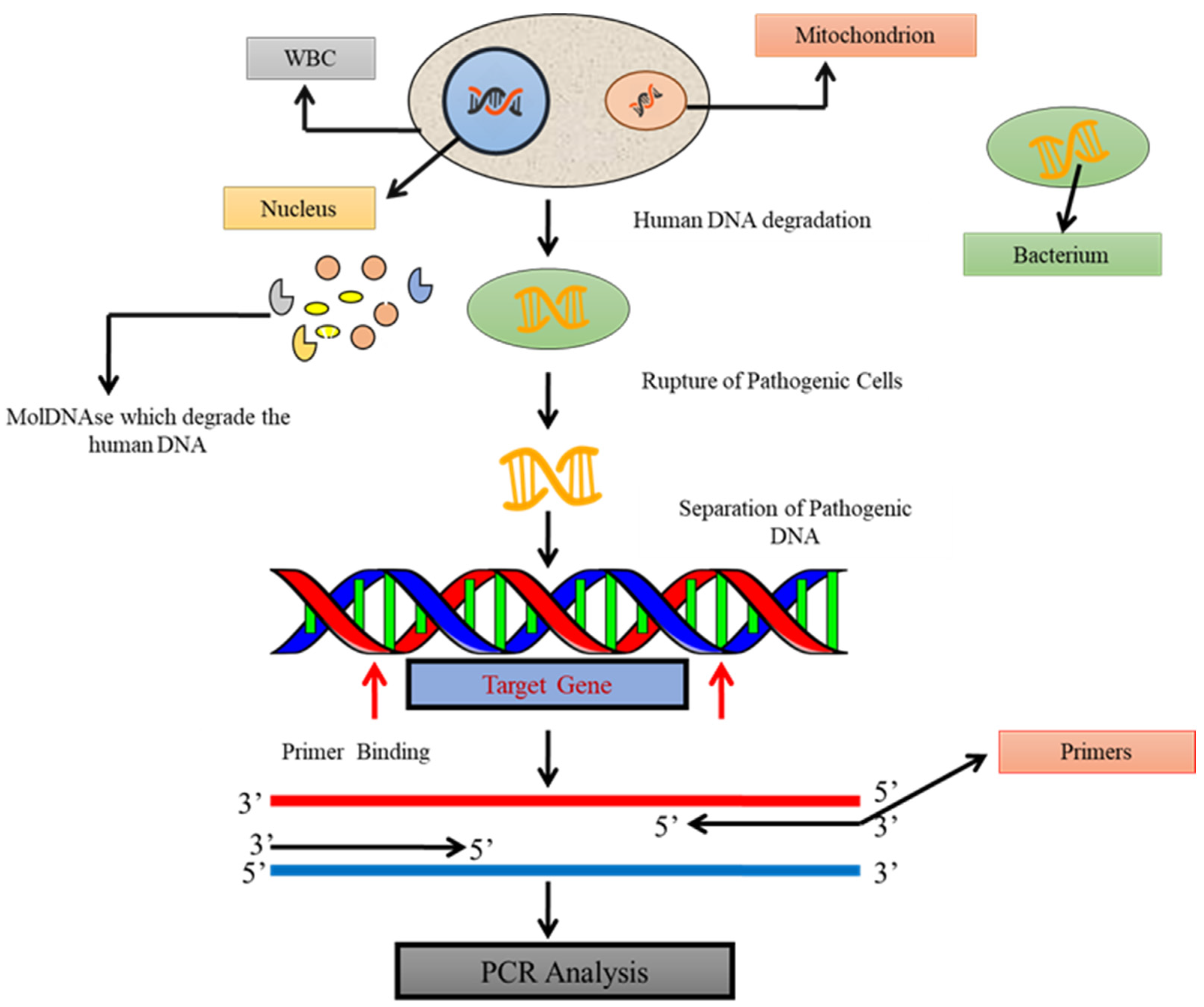 Diagnostics 13 00277 g002