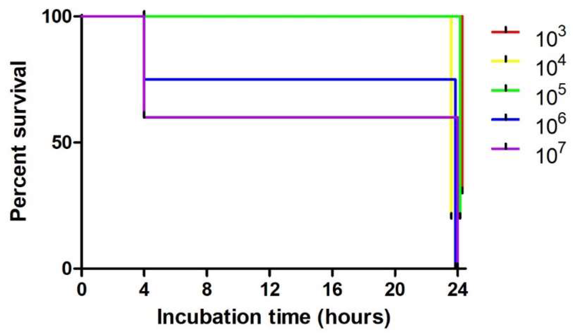 Diagnostics 13 00279 g004