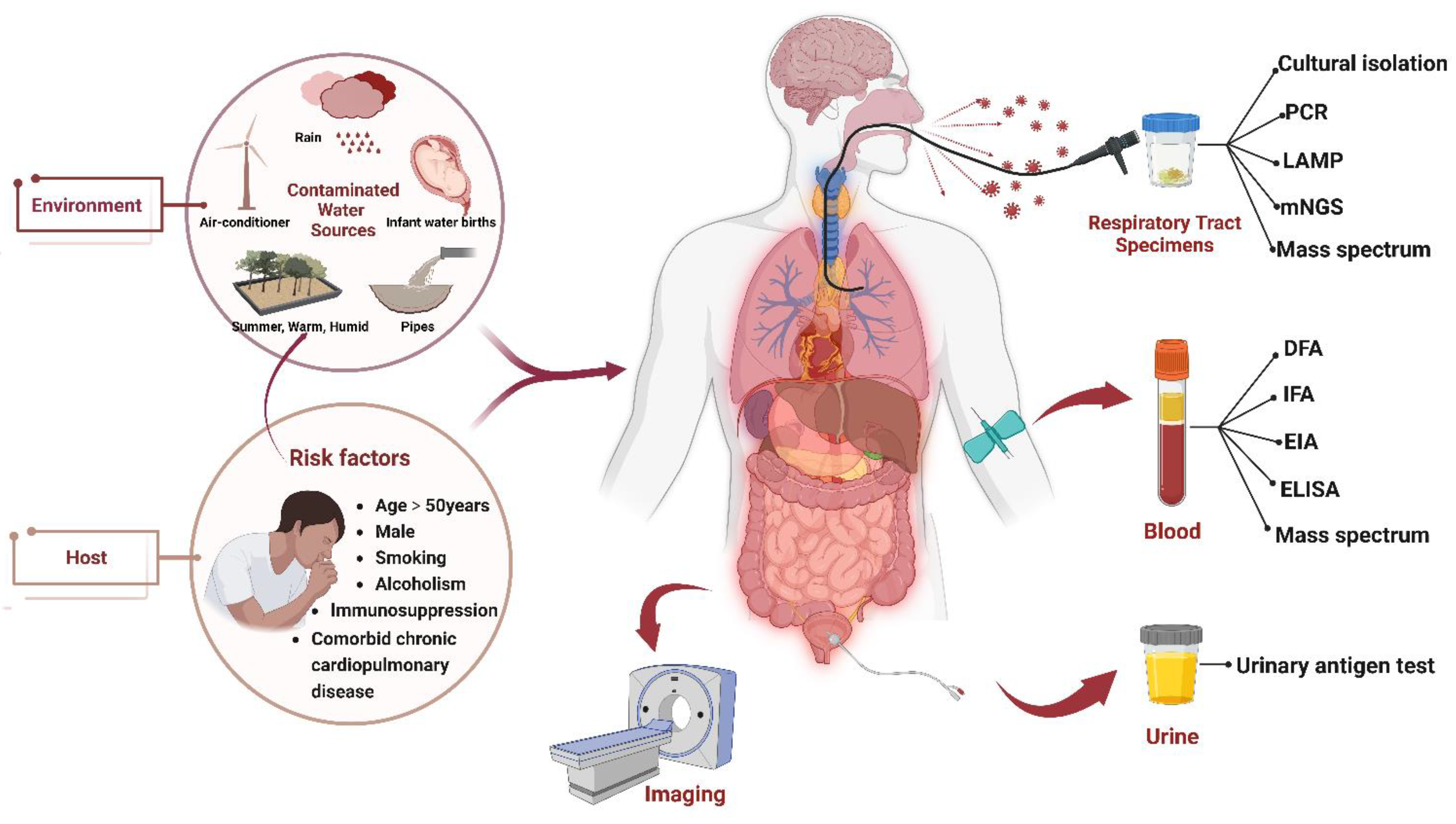 Diagnostics 13 00280 g001