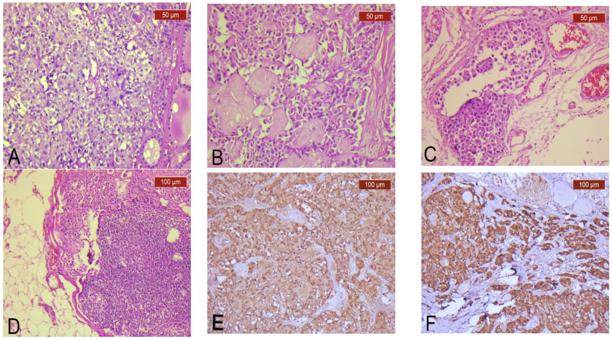 Diagnostics 13 00285 g002