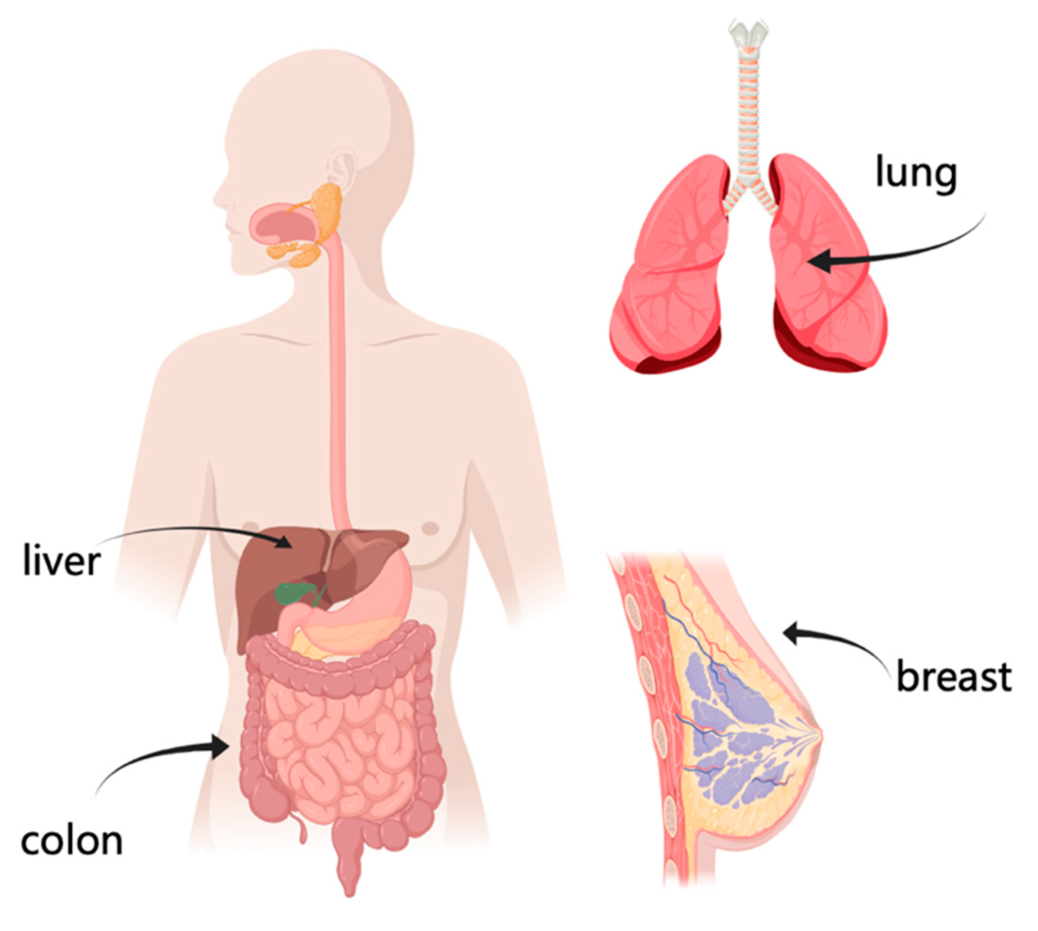 Diagnostics 13 00286 g004