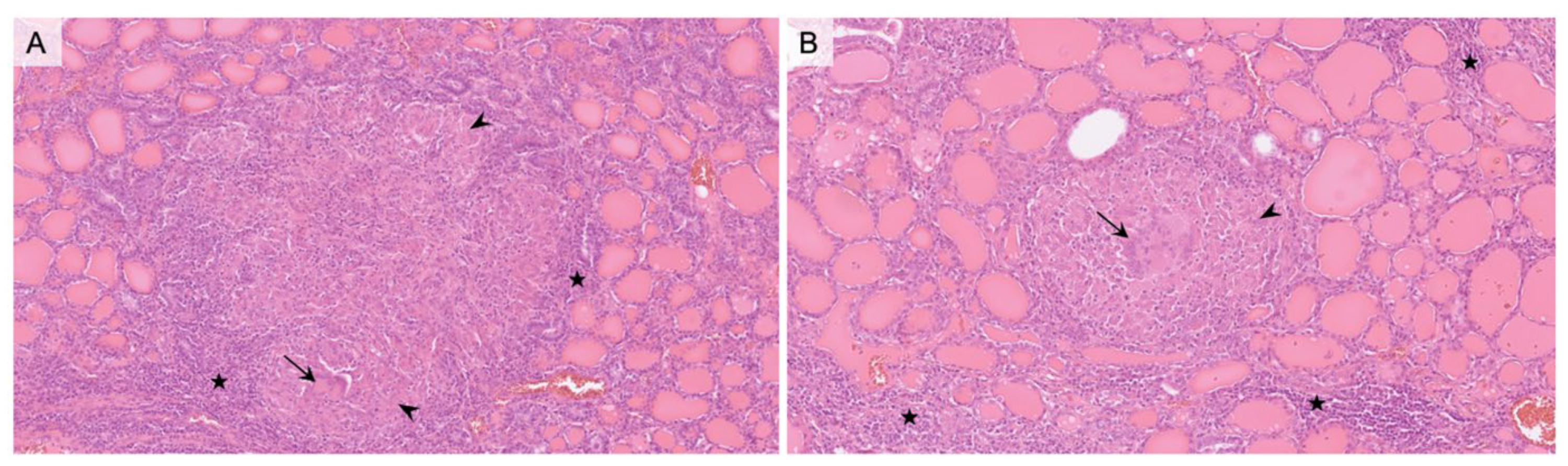 Diagnostics 13 00296 g002