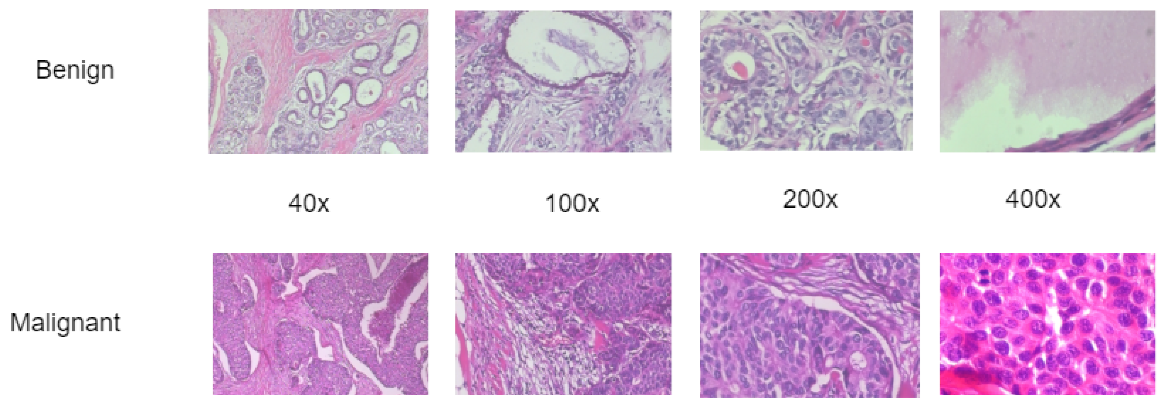 Diagnostics 13 00299 g001