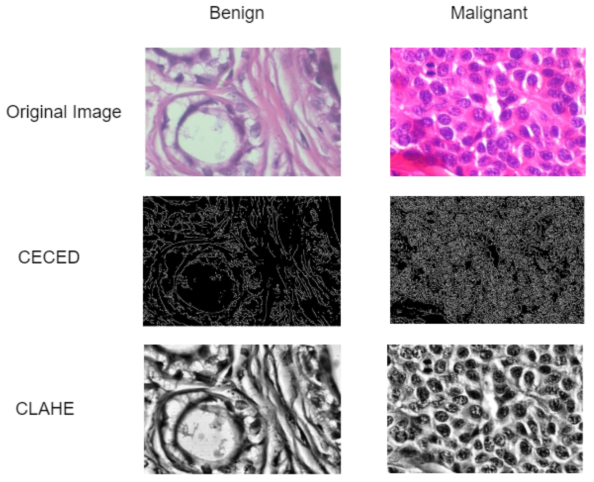 Diagnostics 13 00299 g002