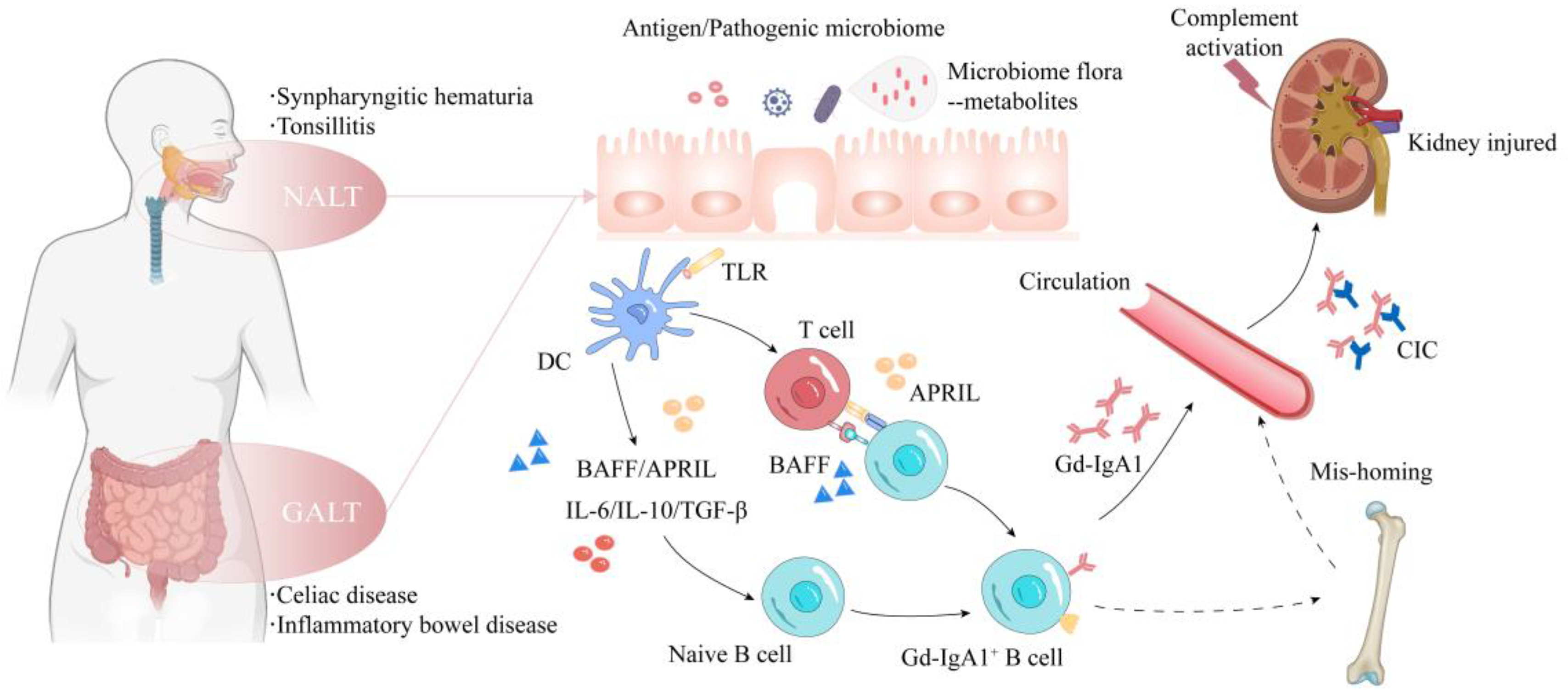 Diagnostics 13 00303 g001 Diagnostics 13 00303 g001