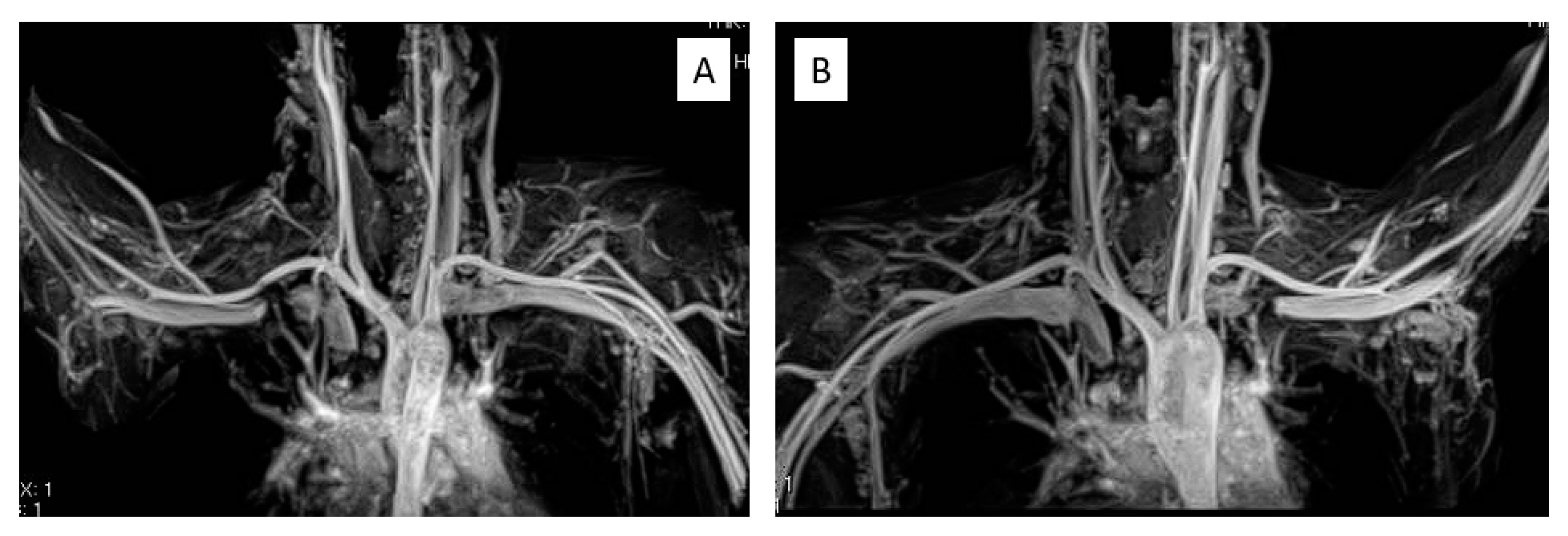 Diagnostics 13 00319 g001