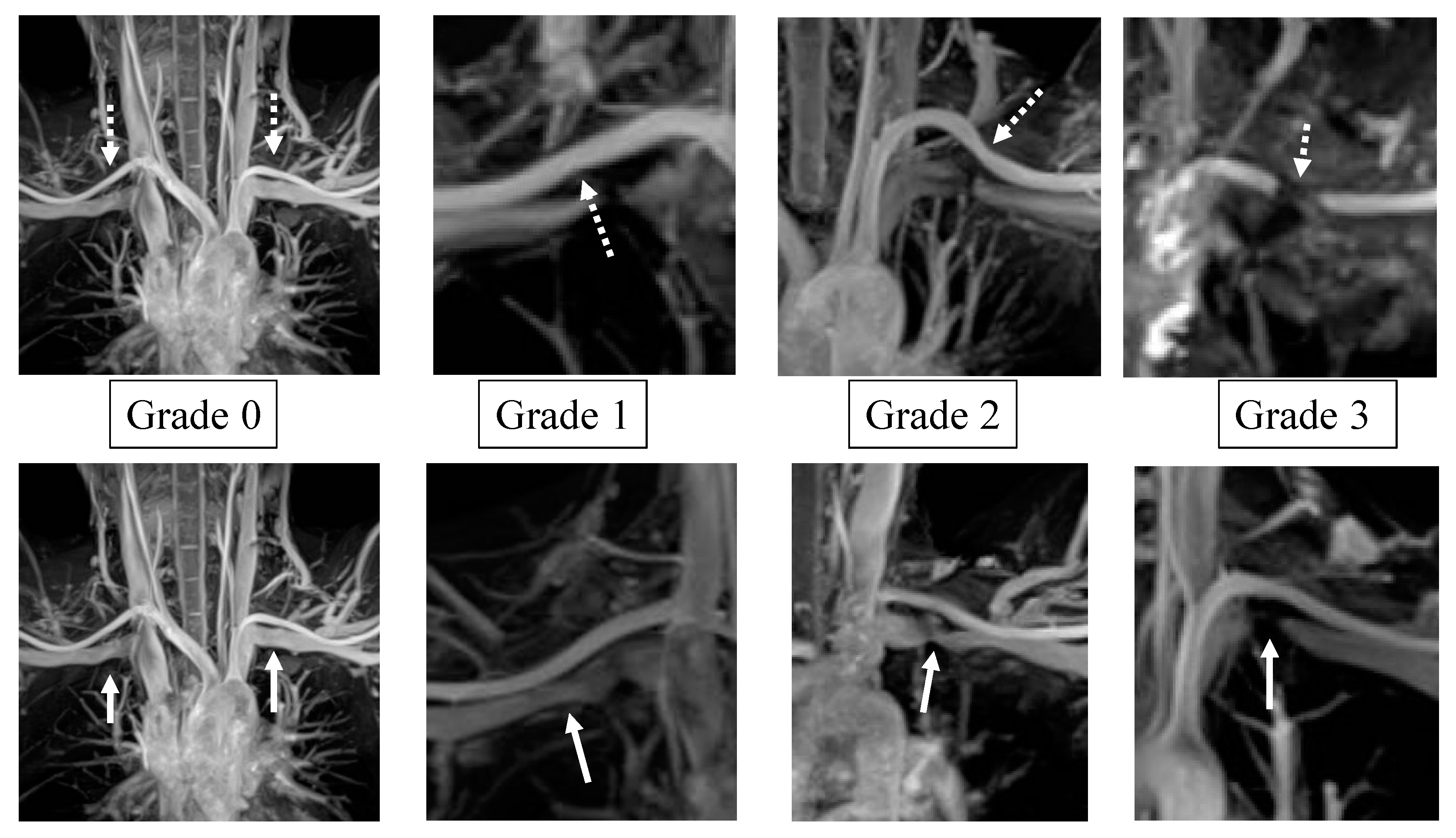 Diagnostics 13 00319 g003