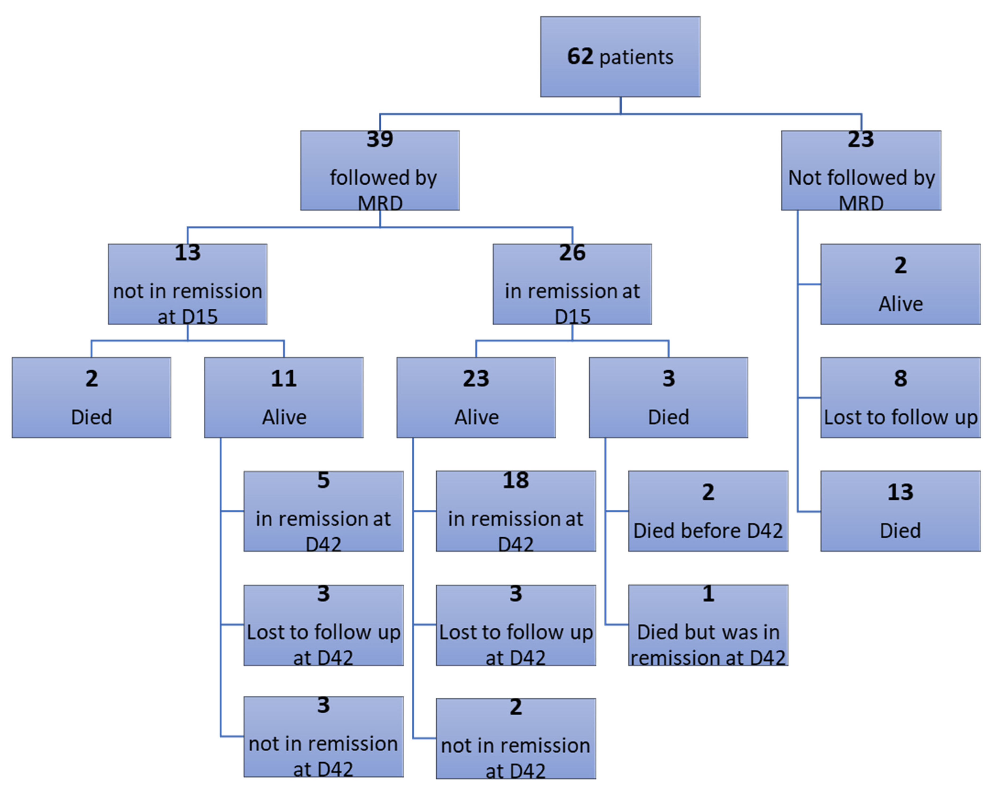 Diagnostics 13 00325 g002