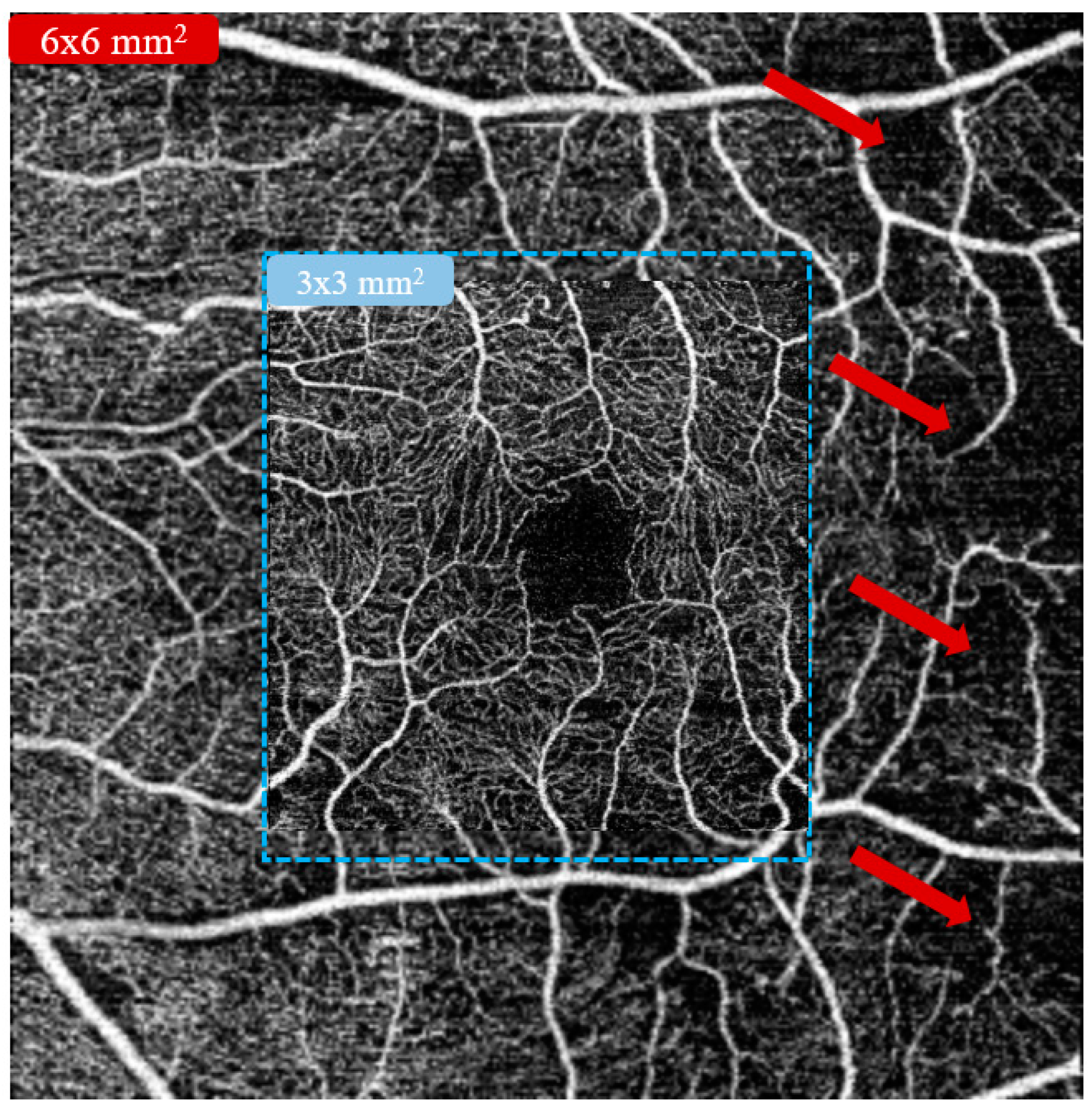 Diagnostics 13 00326 g003