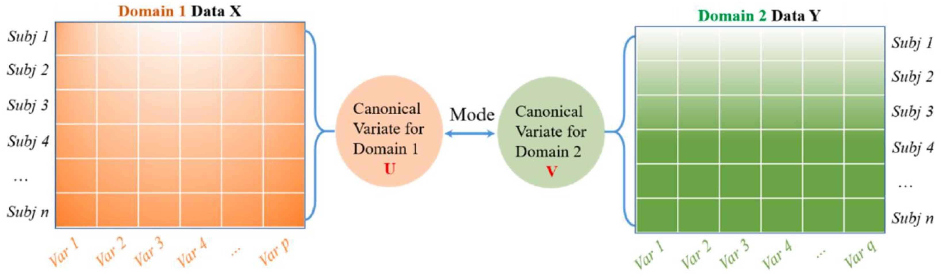 Diagnostics 13 00336 g001