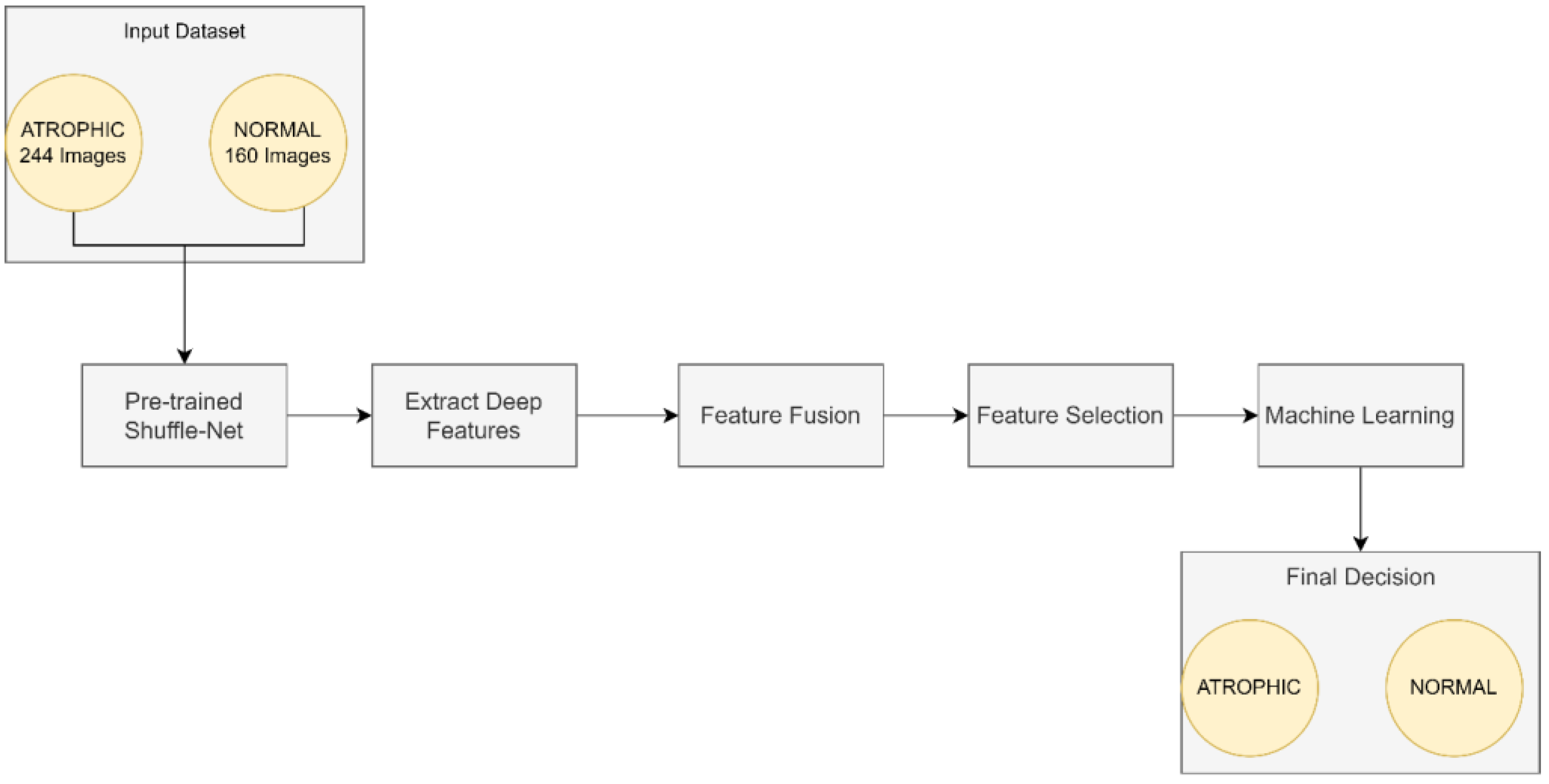 Diagnostics 13 00336 g004