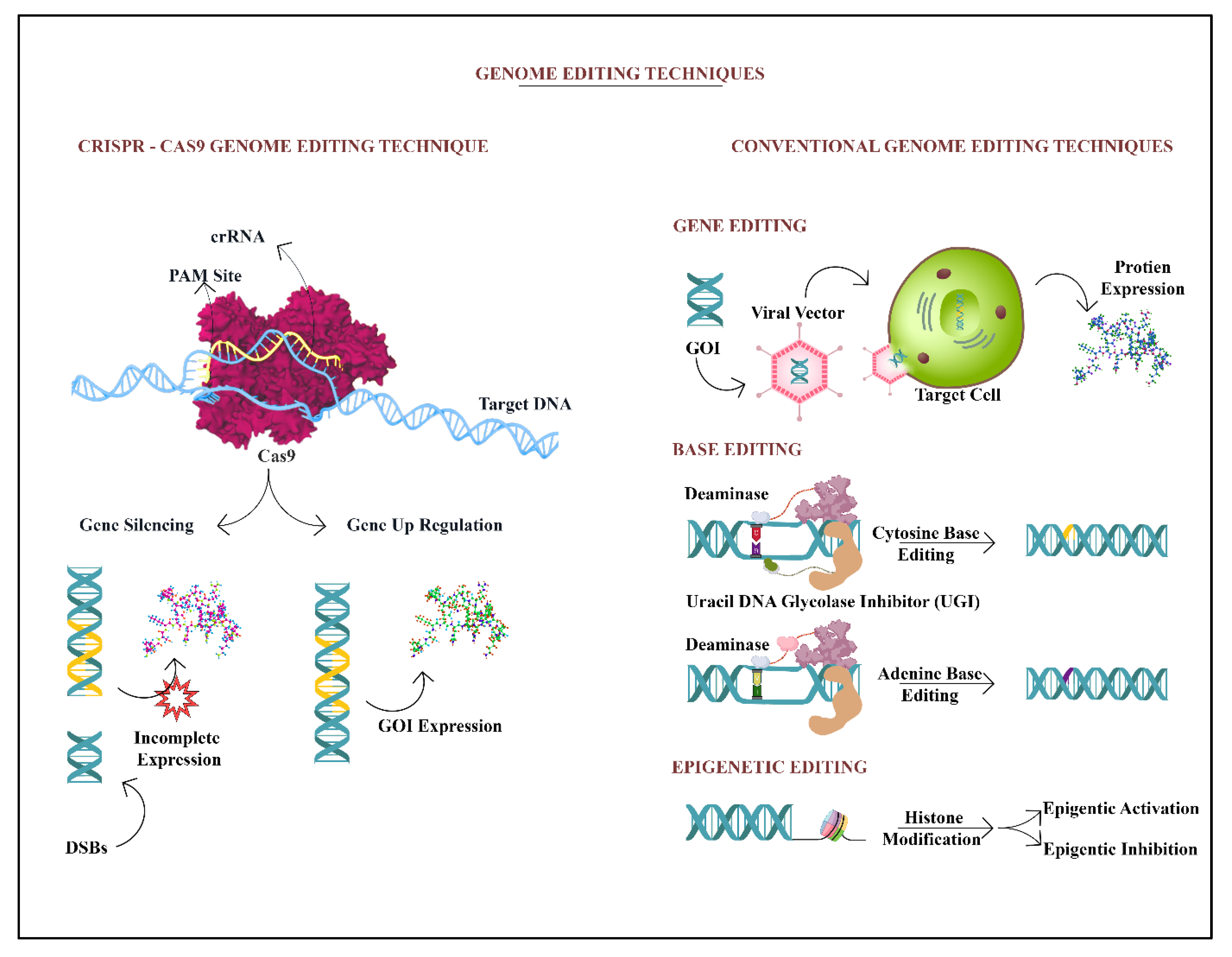 Diagnostics 13 00337 g002