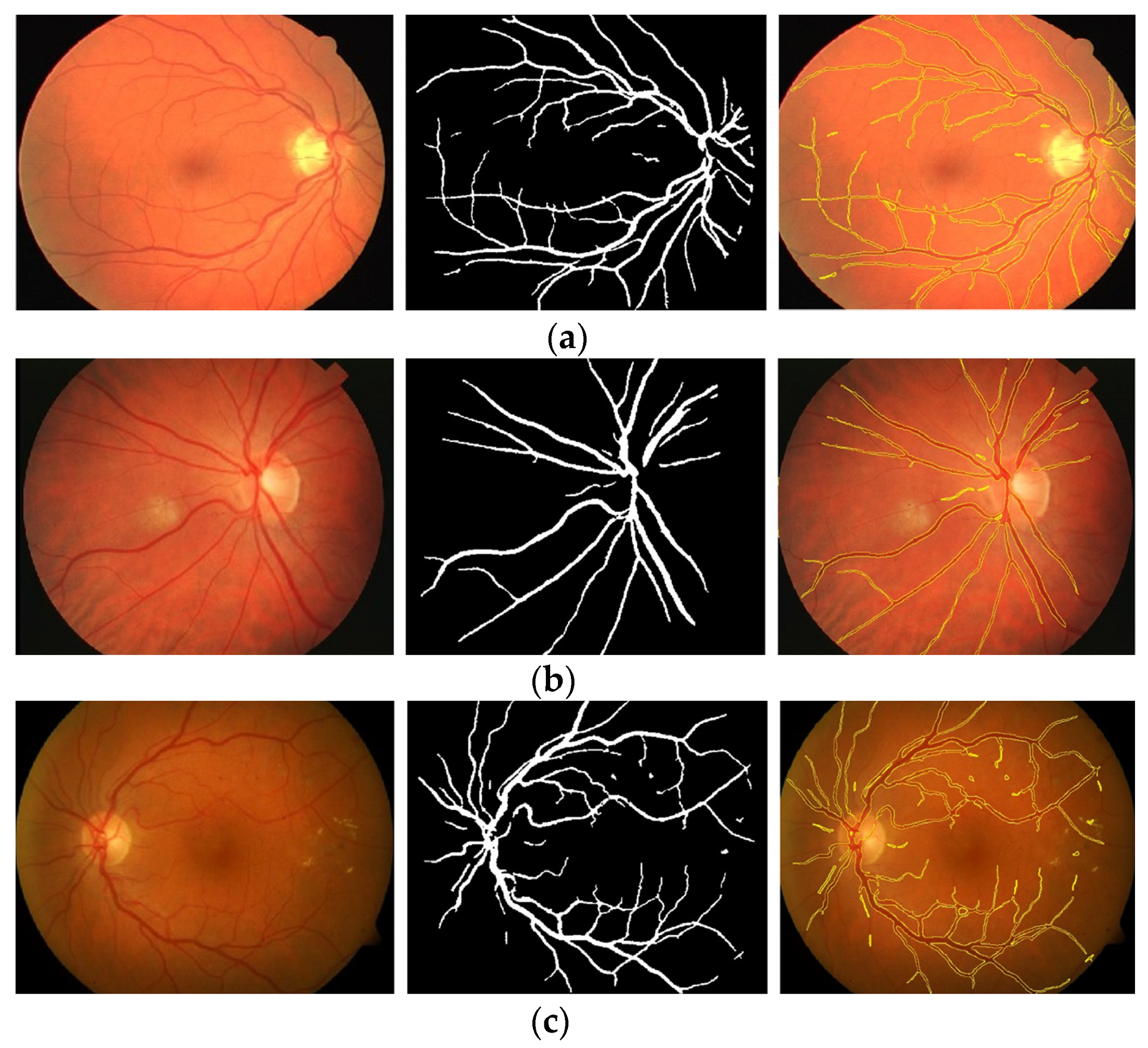 Diagnostics 13 00342 g009 Diagnostics 13 00342 g009