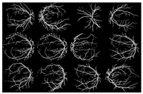 Diagnostics 13 00342 i003 Diagnostics 13 00342 i003