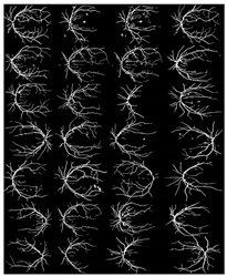 Diagnostics 13 00342 i011 Diagnostics 13 00342 i011