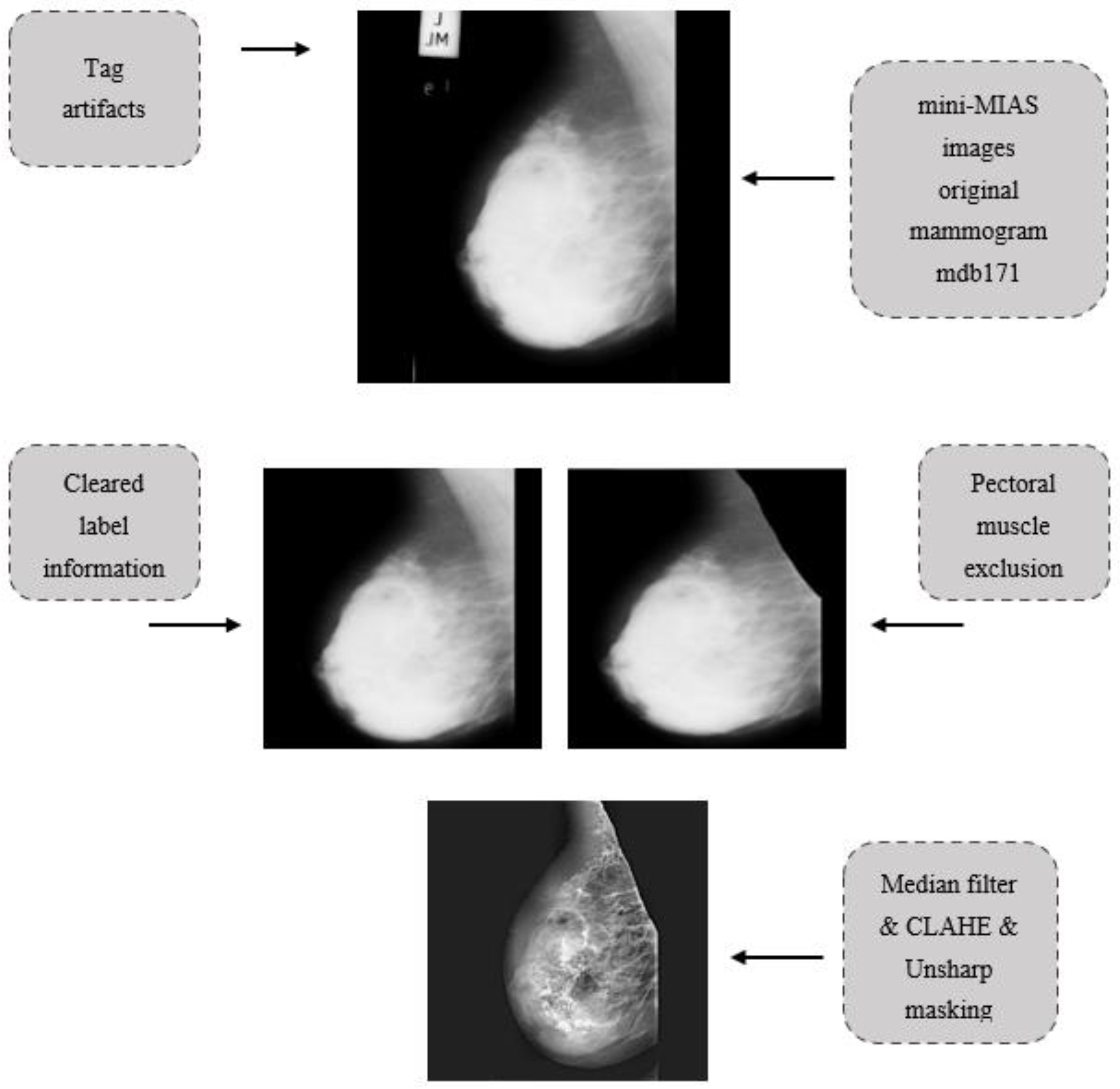 Diagnostics 13 00348 g002 Diagnostics 13 00348 g002