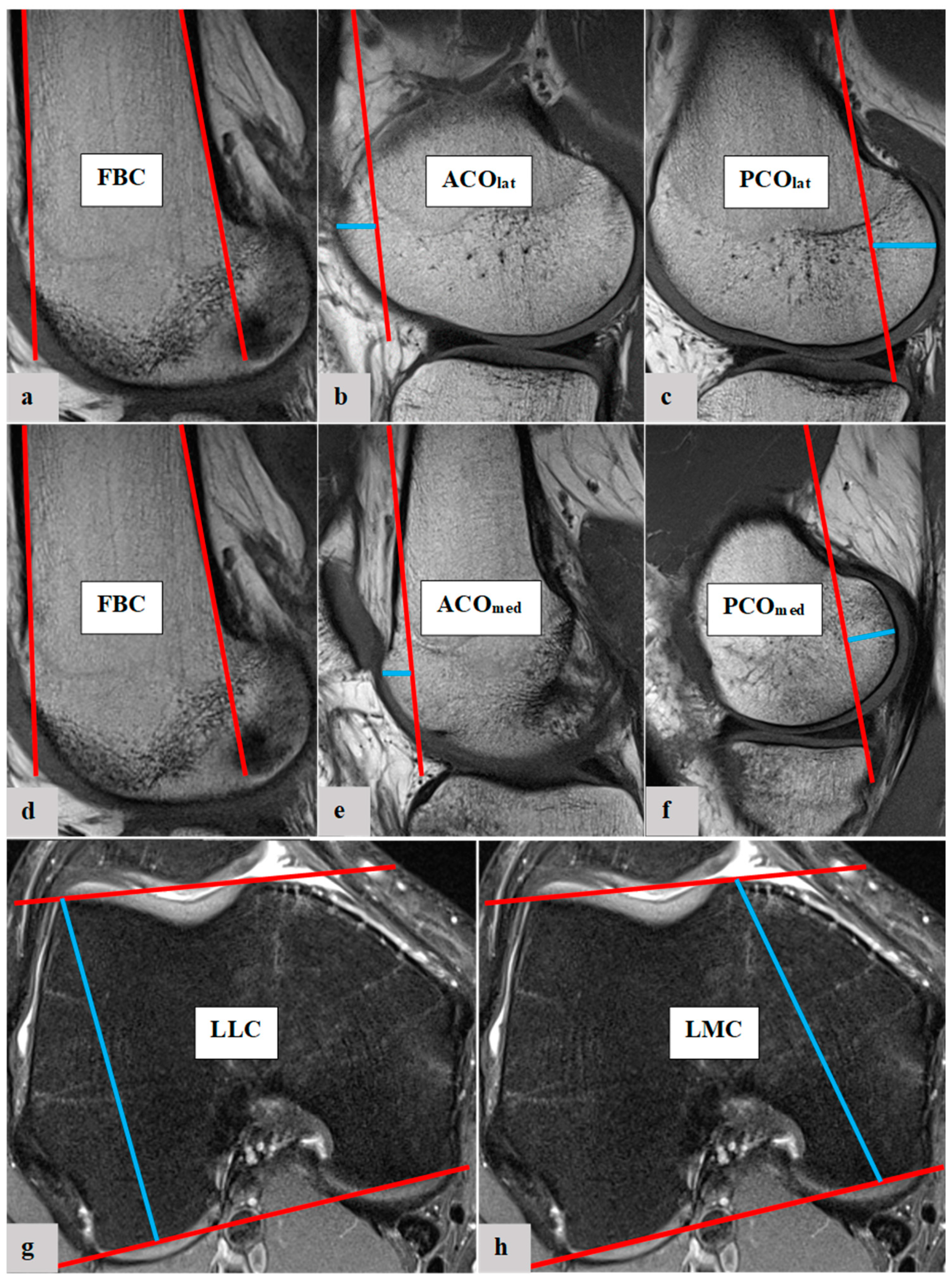 Diagnostics 13 00350 g002