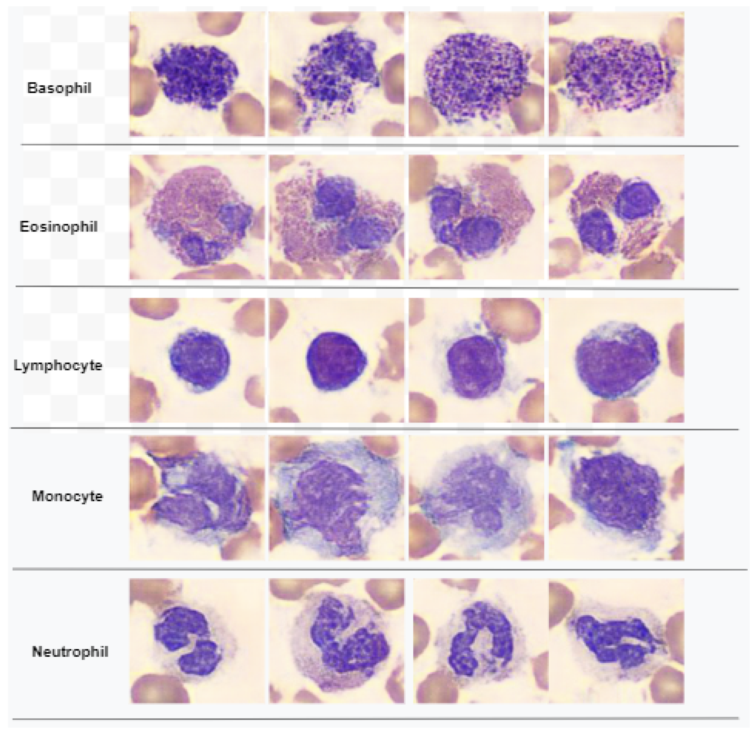 Diagnostics 13 00352 g002 Diagnostics 13 00352 g002