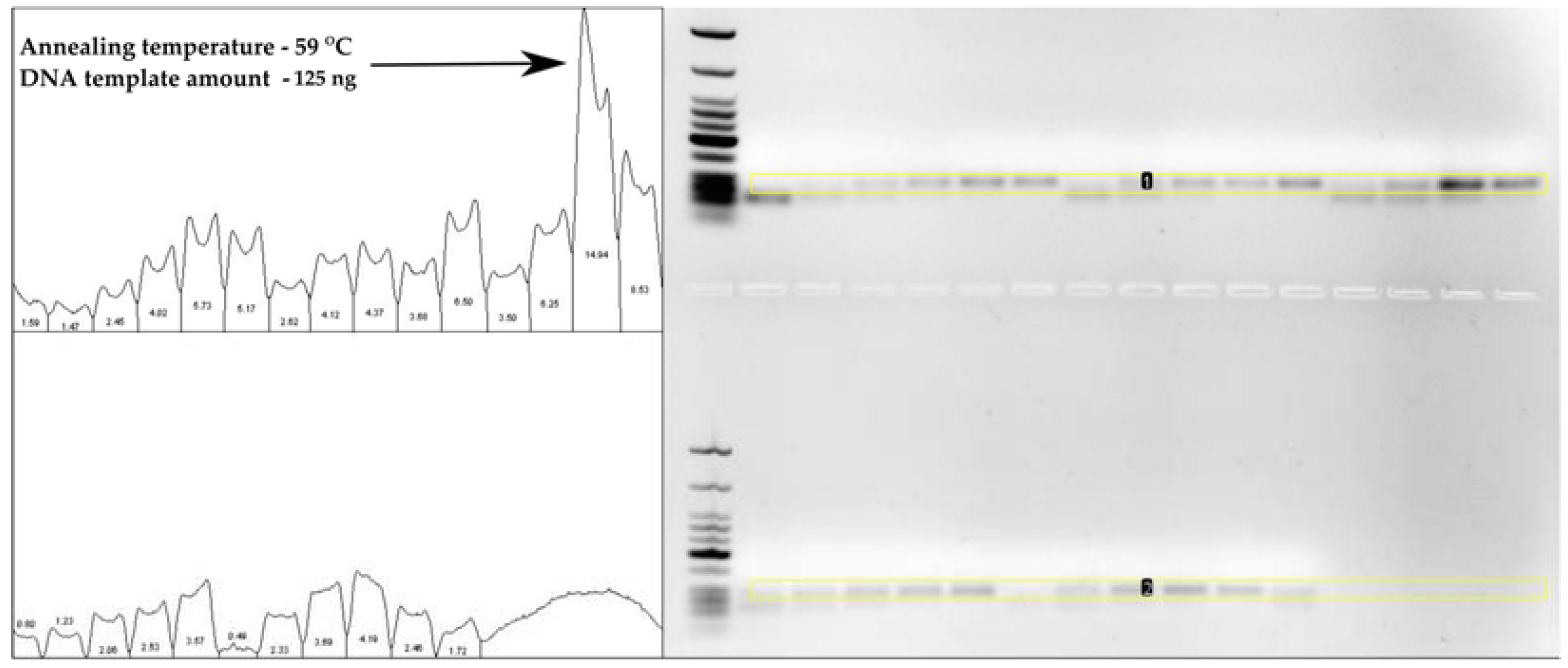 Diagnostics 13 00360 g002