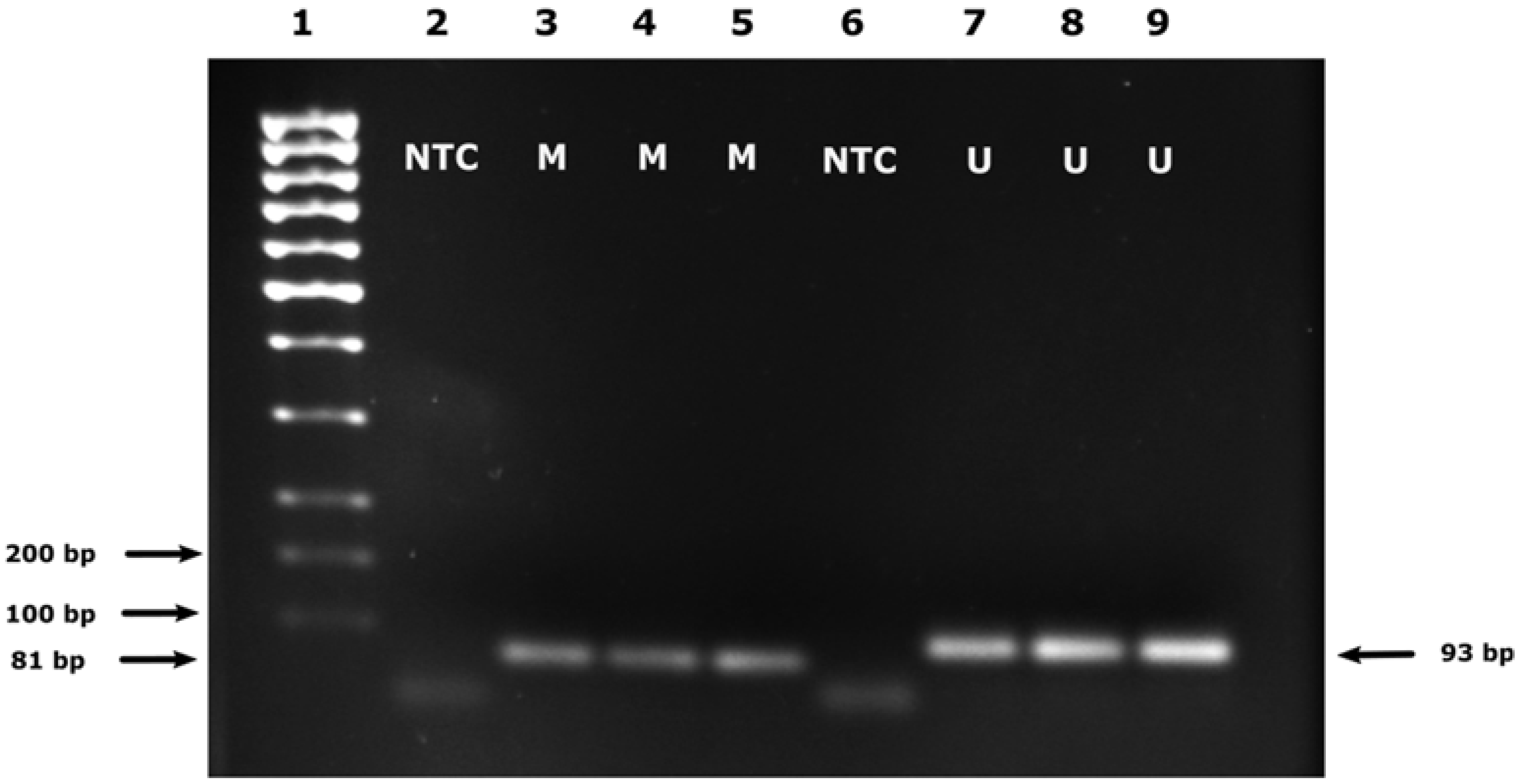Diagnostics 13 00360 g003