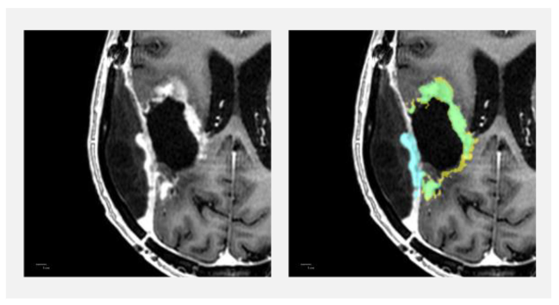 Diagnostics 13 00363 g007