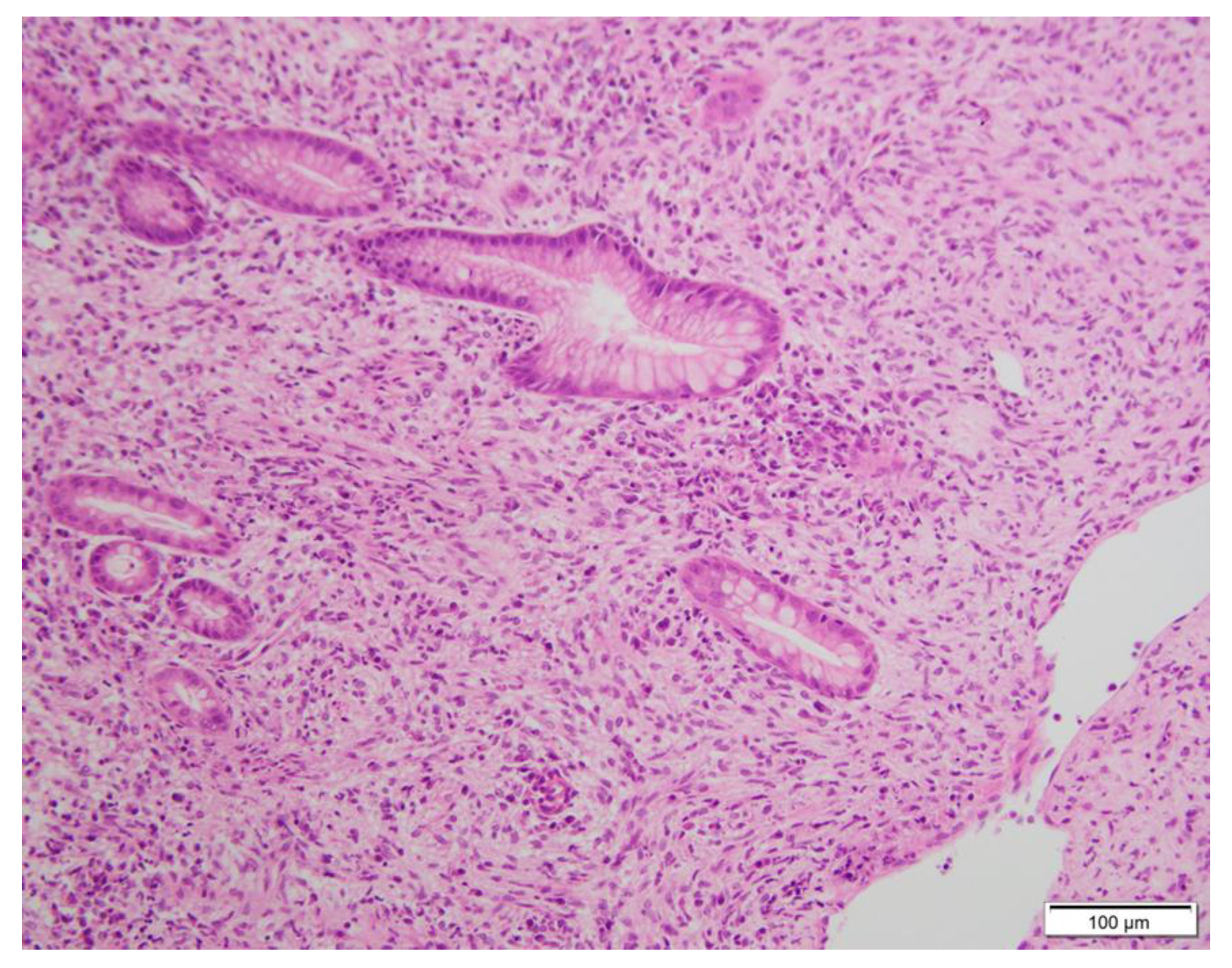 Diagnostics 13 00376 g003