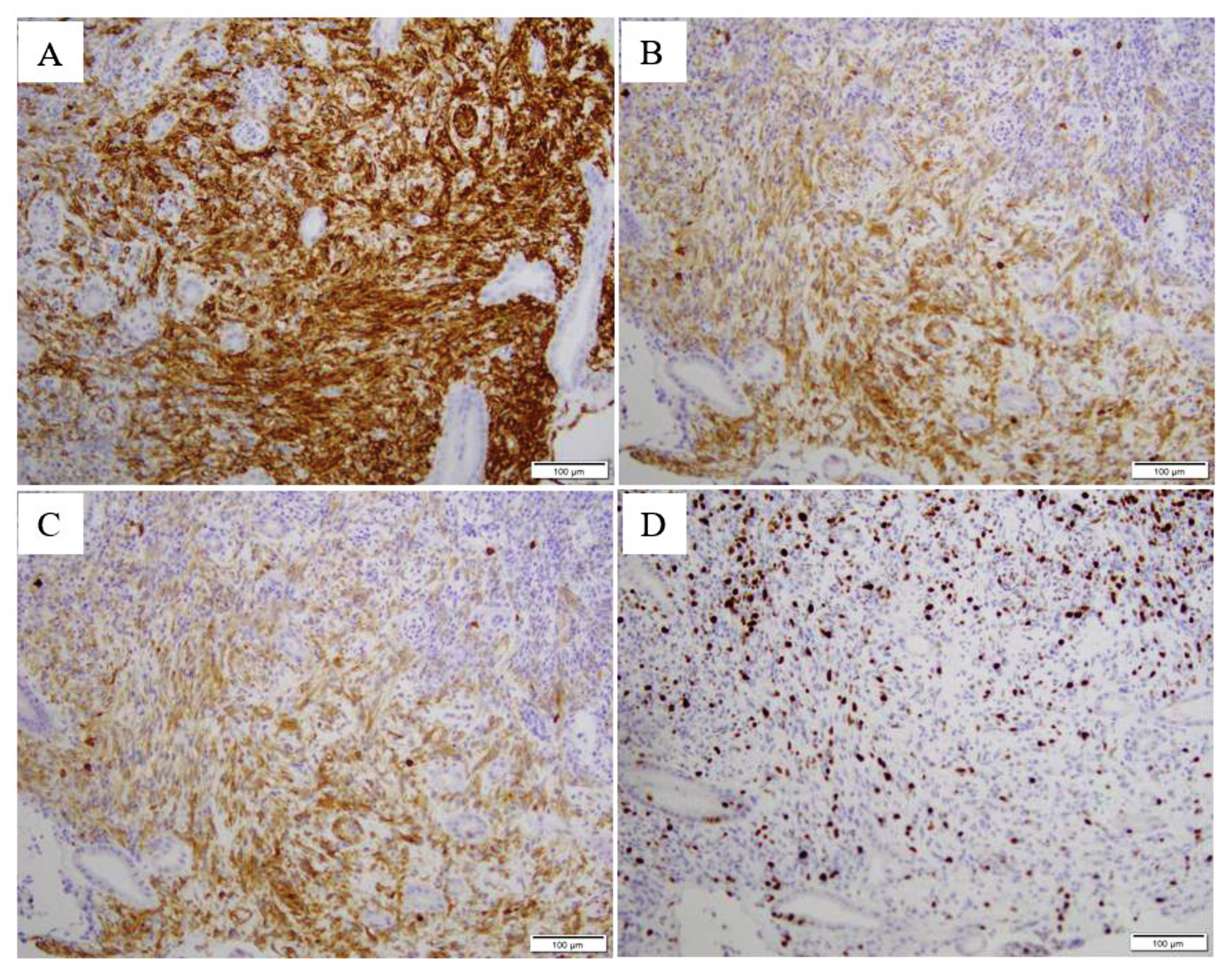 Diagnostics 13 00376 g004