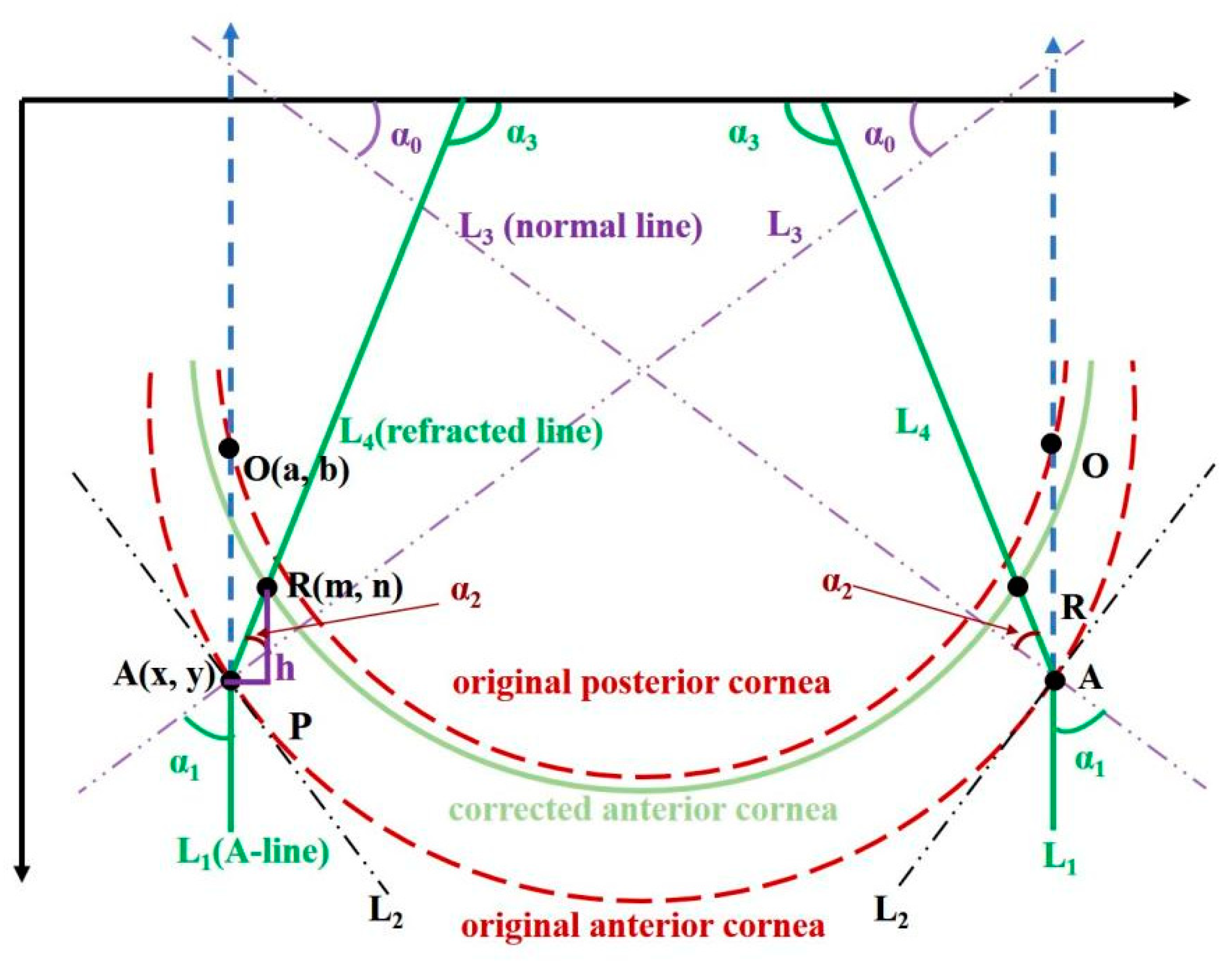 Diagnostics 13 00379 g002