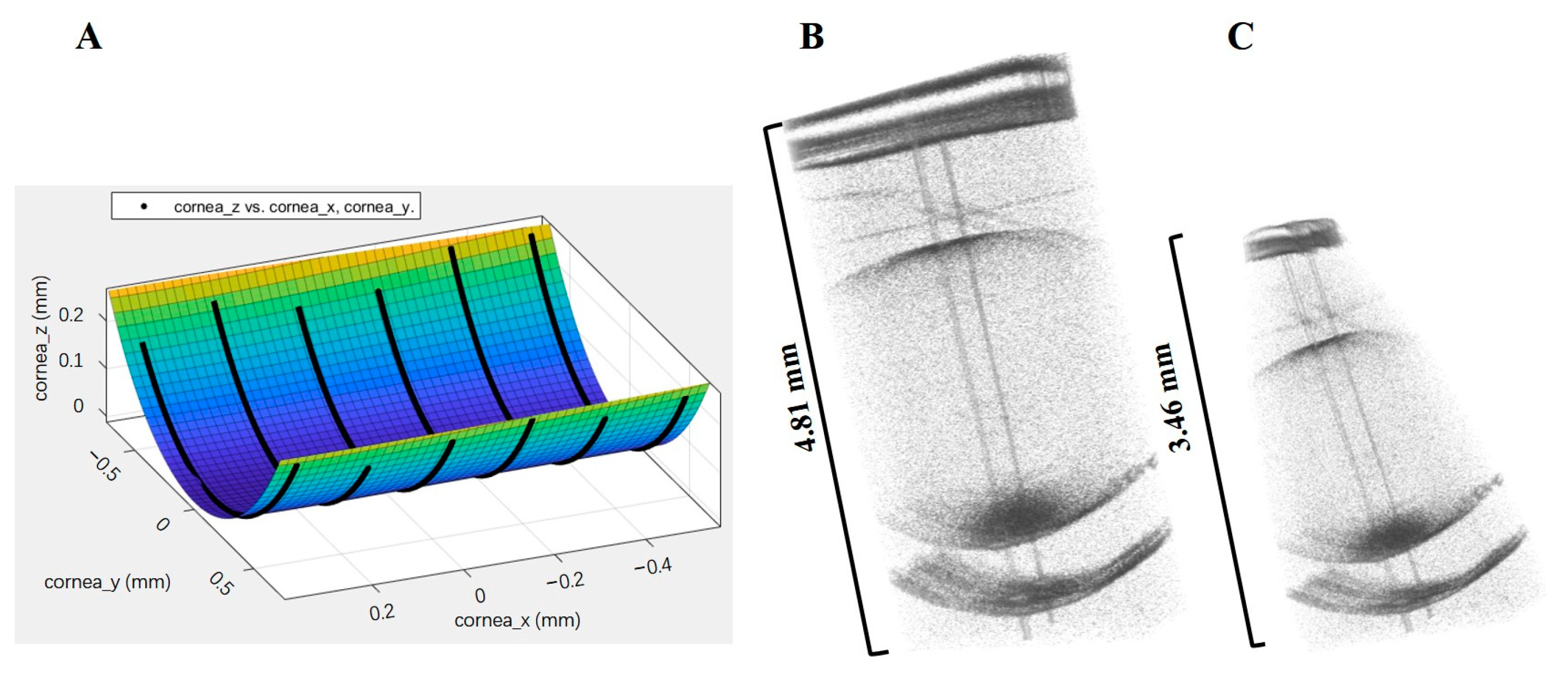 Diagnostics 13 00379 g004