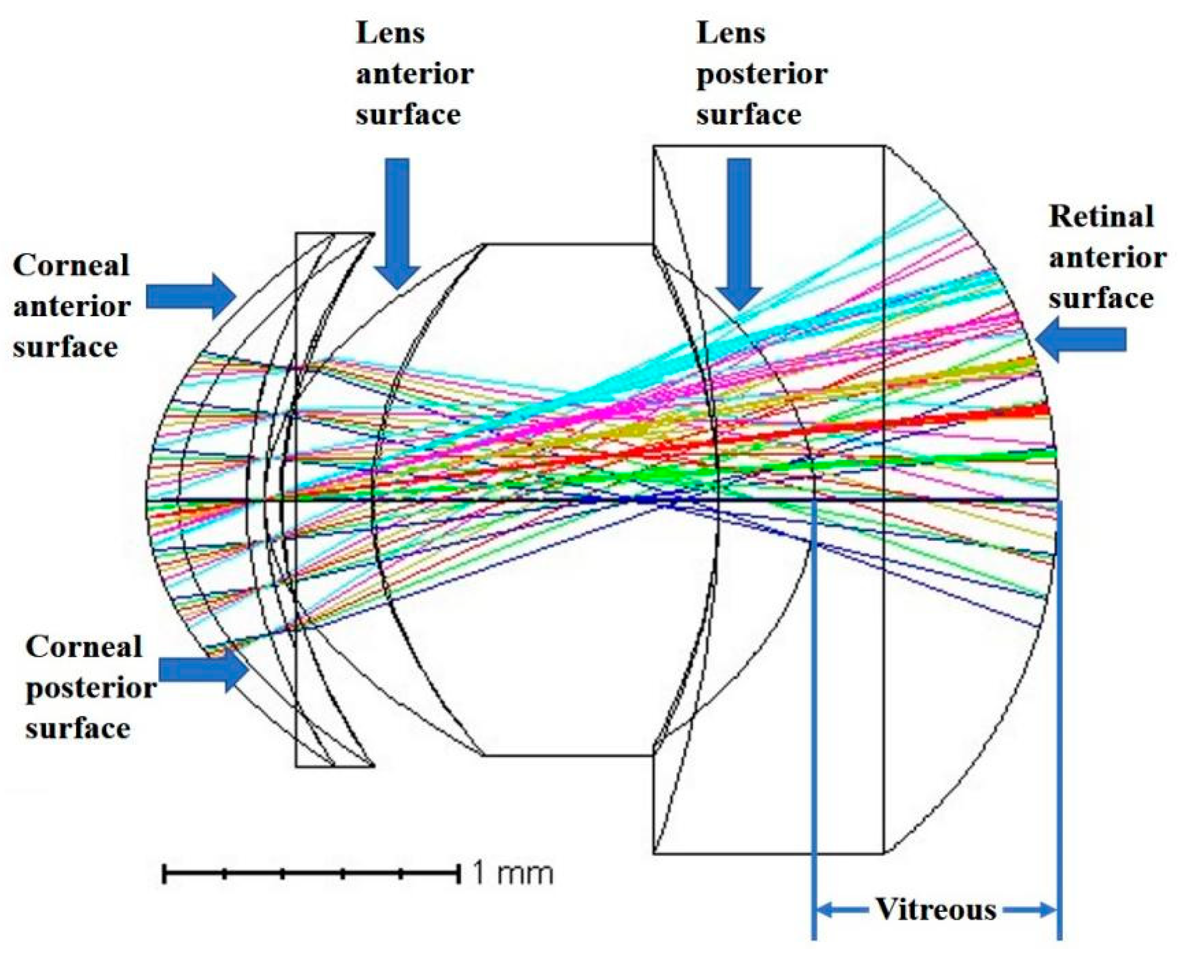 Diagnostics 13 00379 g005