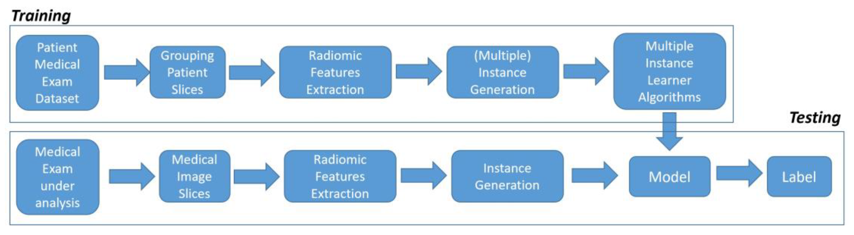 Diagnostics 13 00384 g001