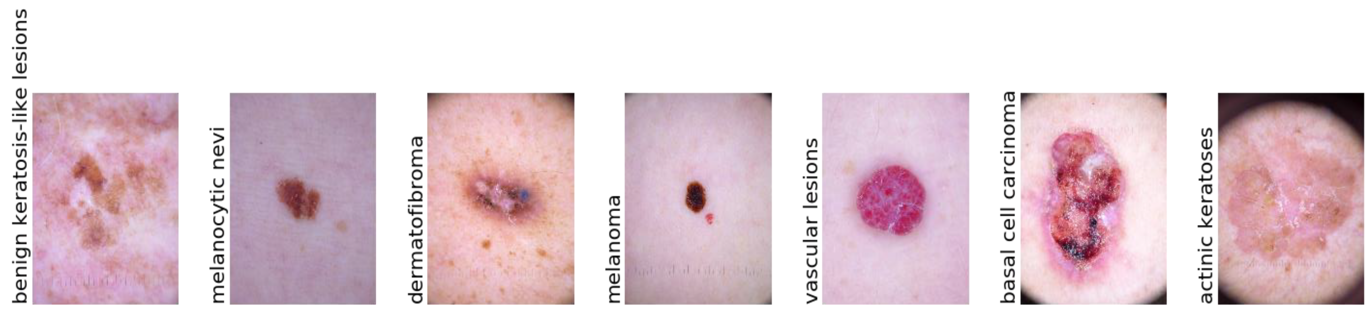 Diagnostics 13 00385 g002